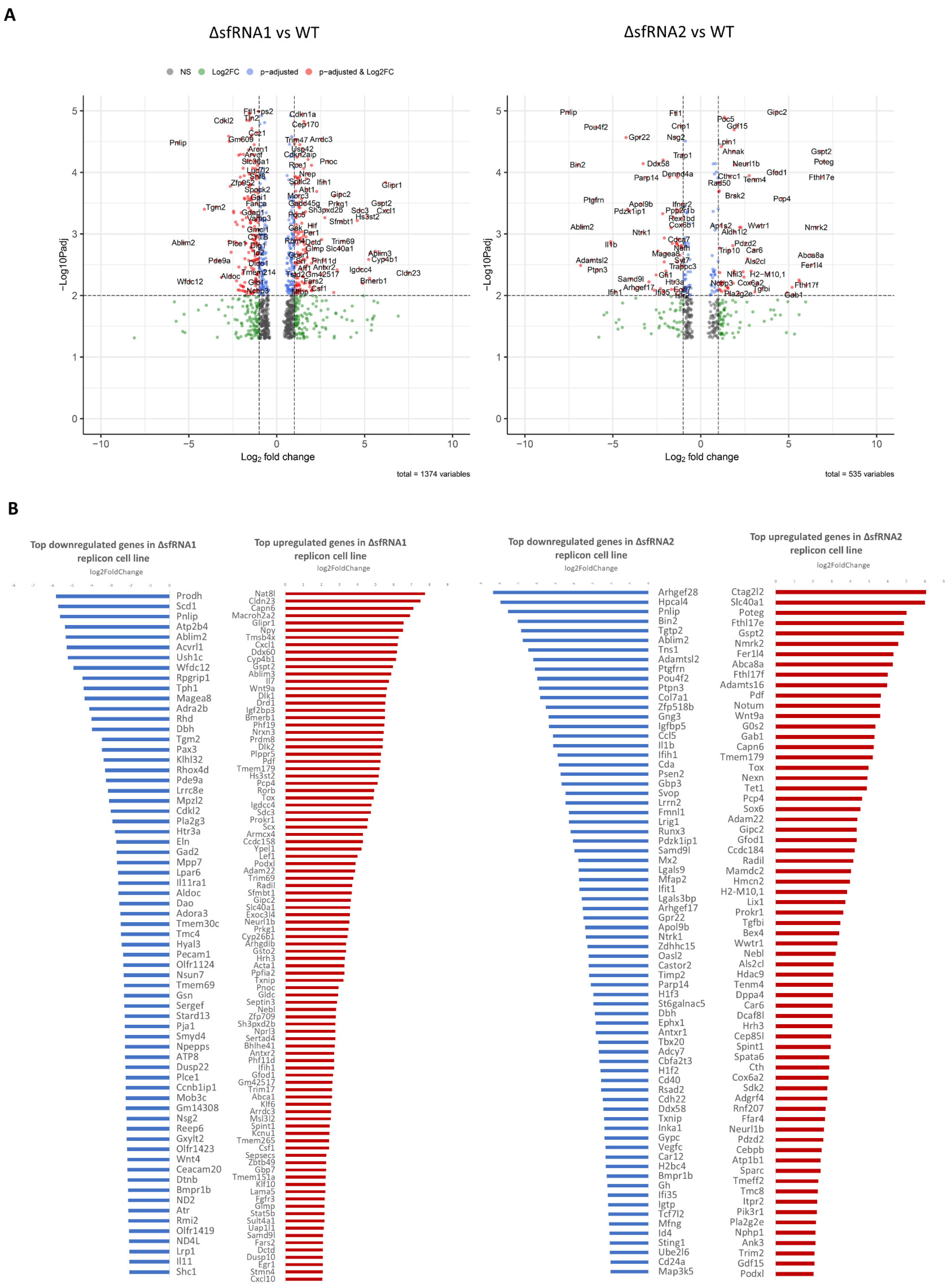 Viruses 16 00812 g003a