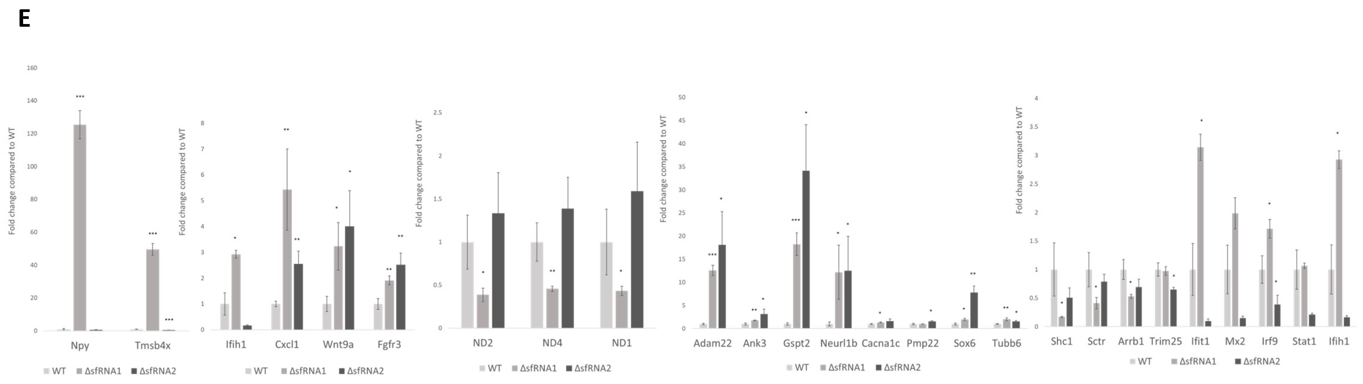 Viruses 16 00812 g003d