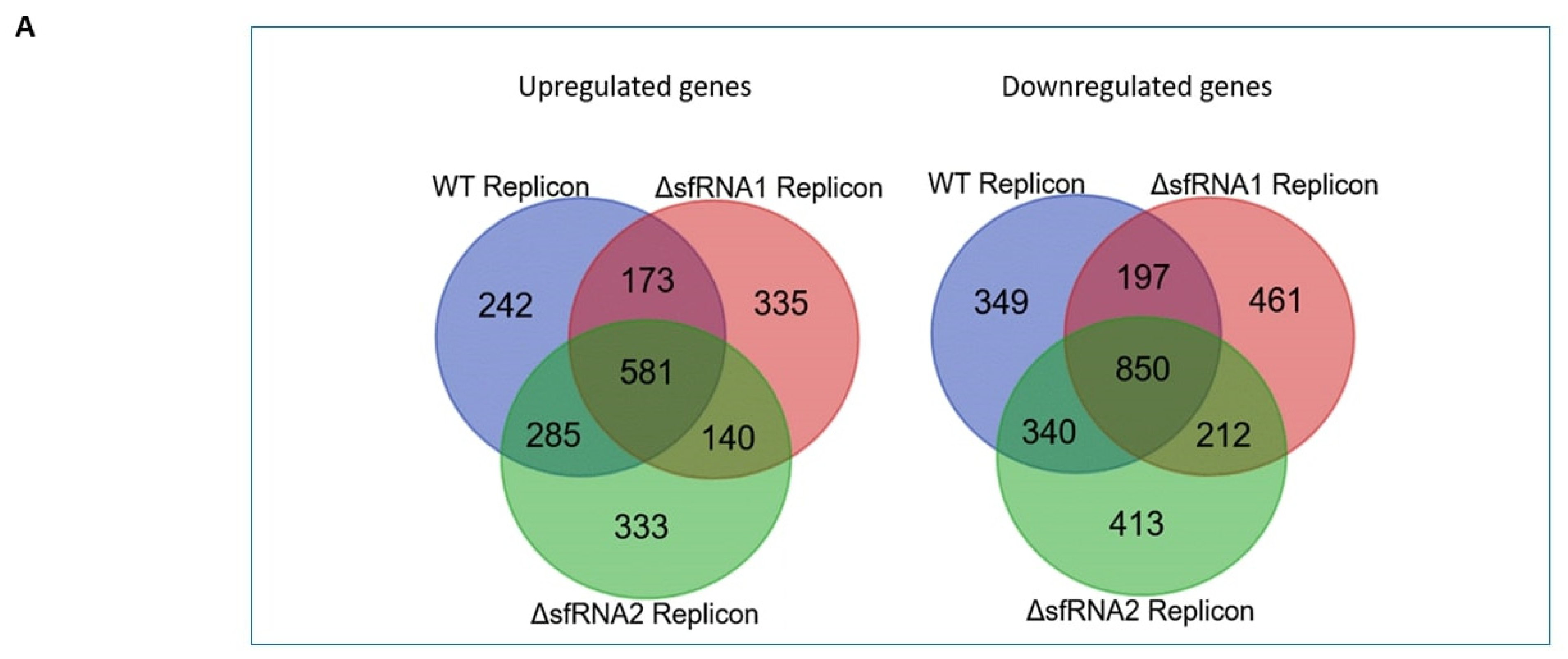 Viruses 16 00812 g004a