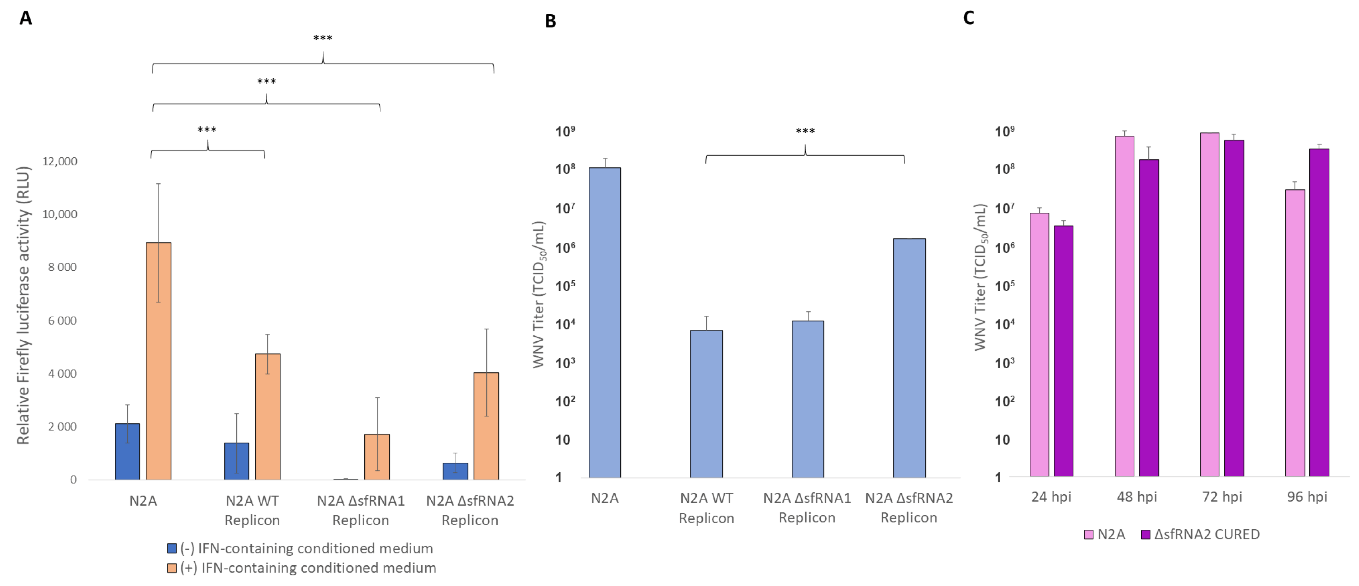 Viruses 16 00812 g005