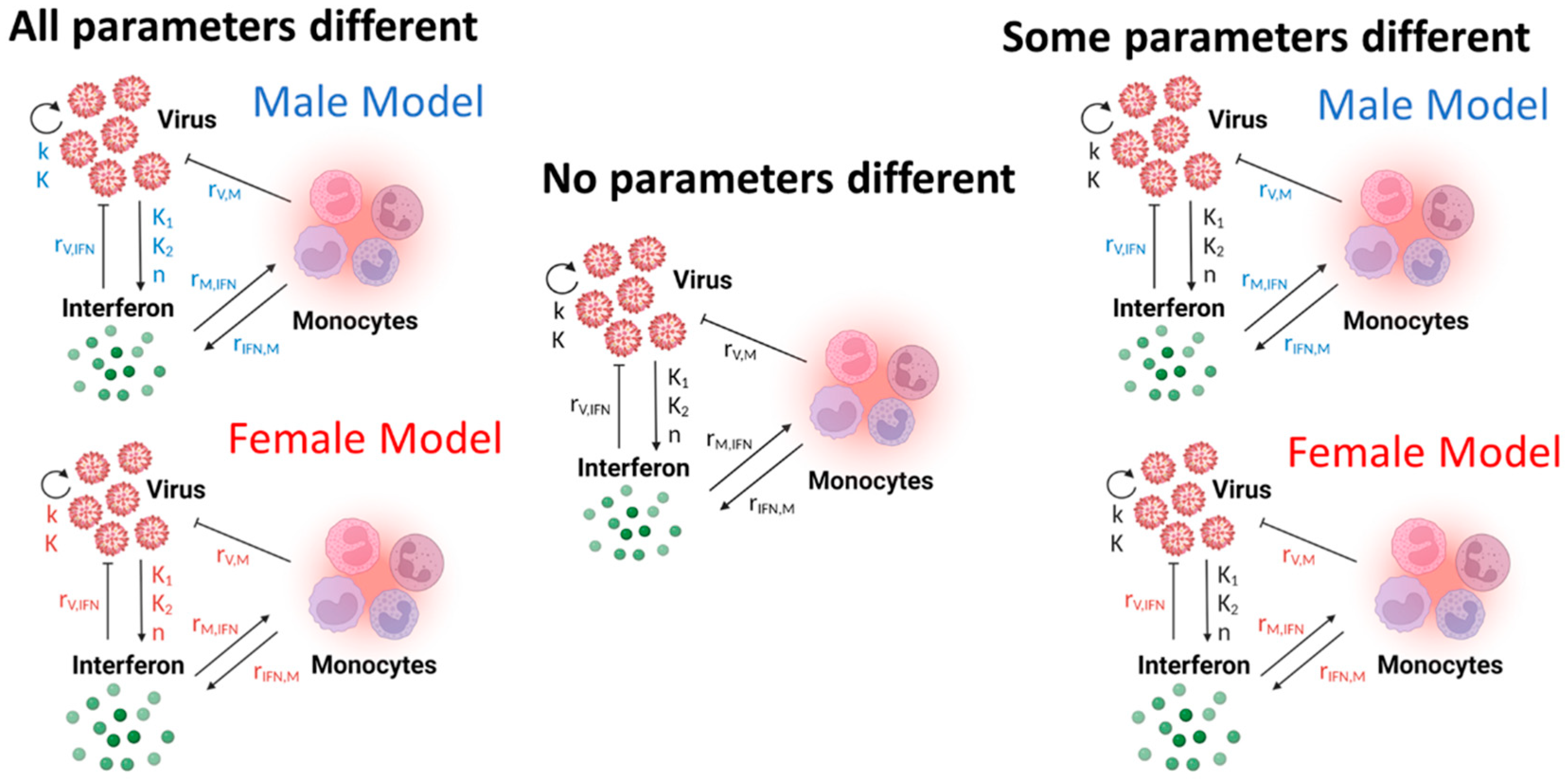 Viruses 16 00837 g003