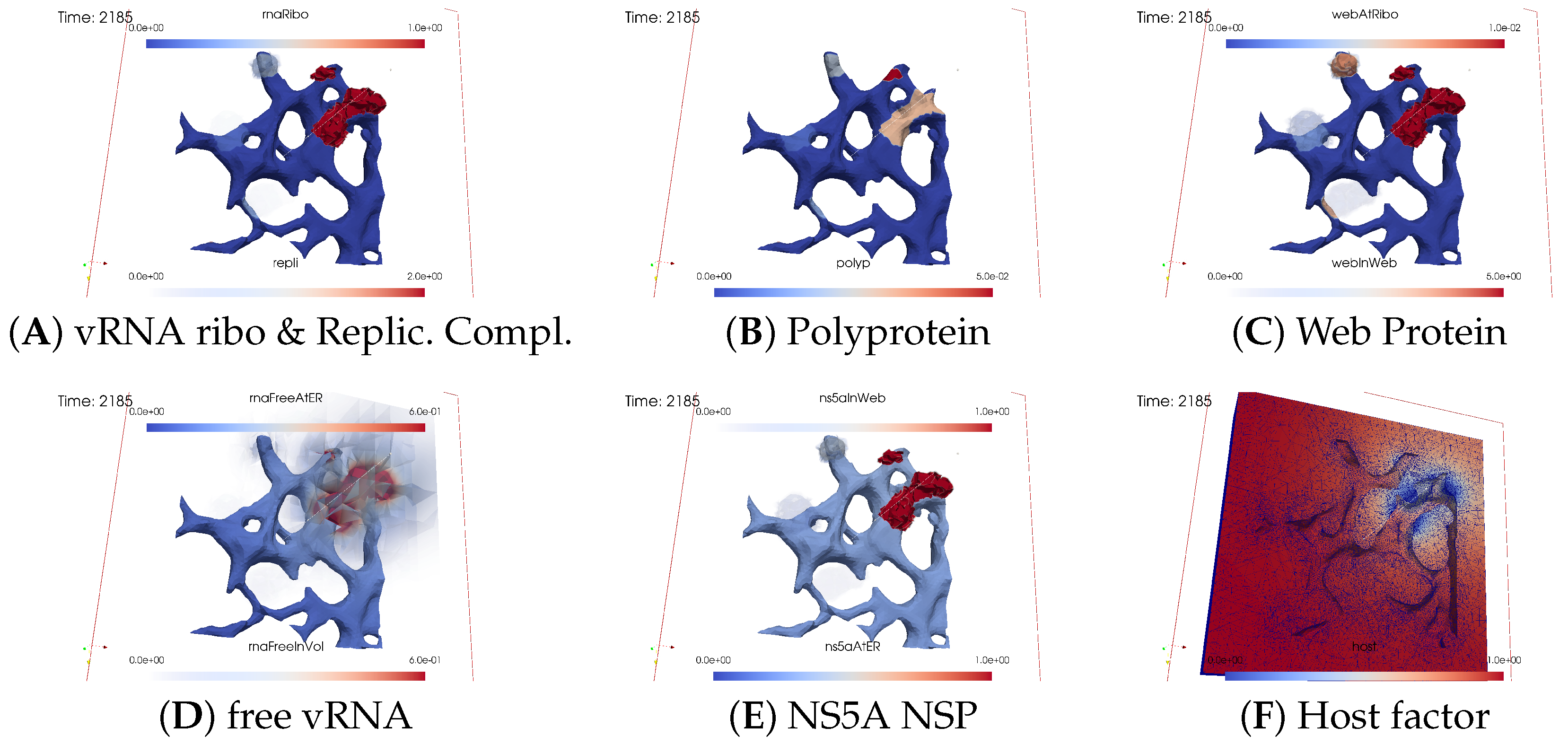 Viruses 16 00840 g007