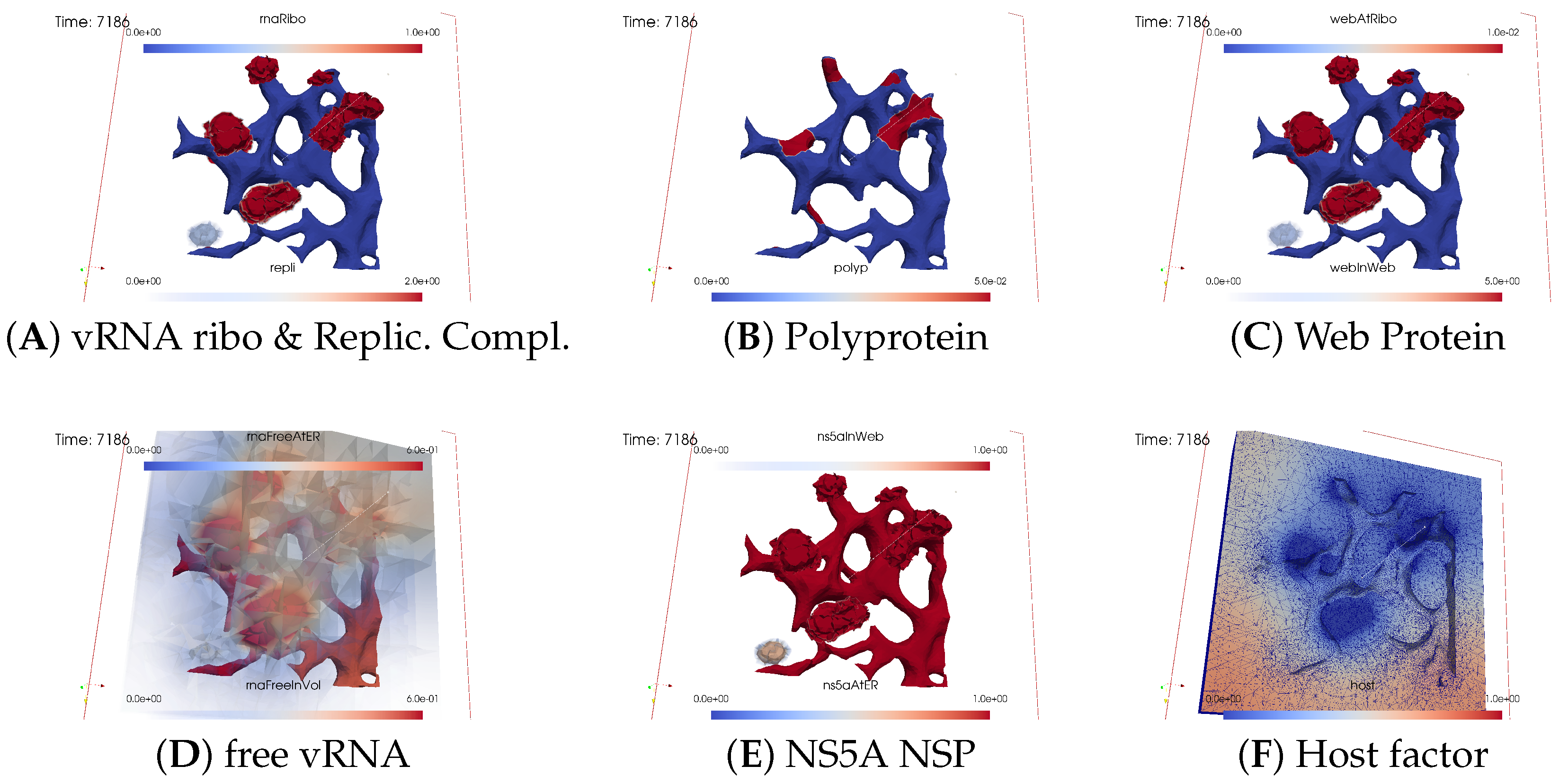 Viruses 16 00840 g011