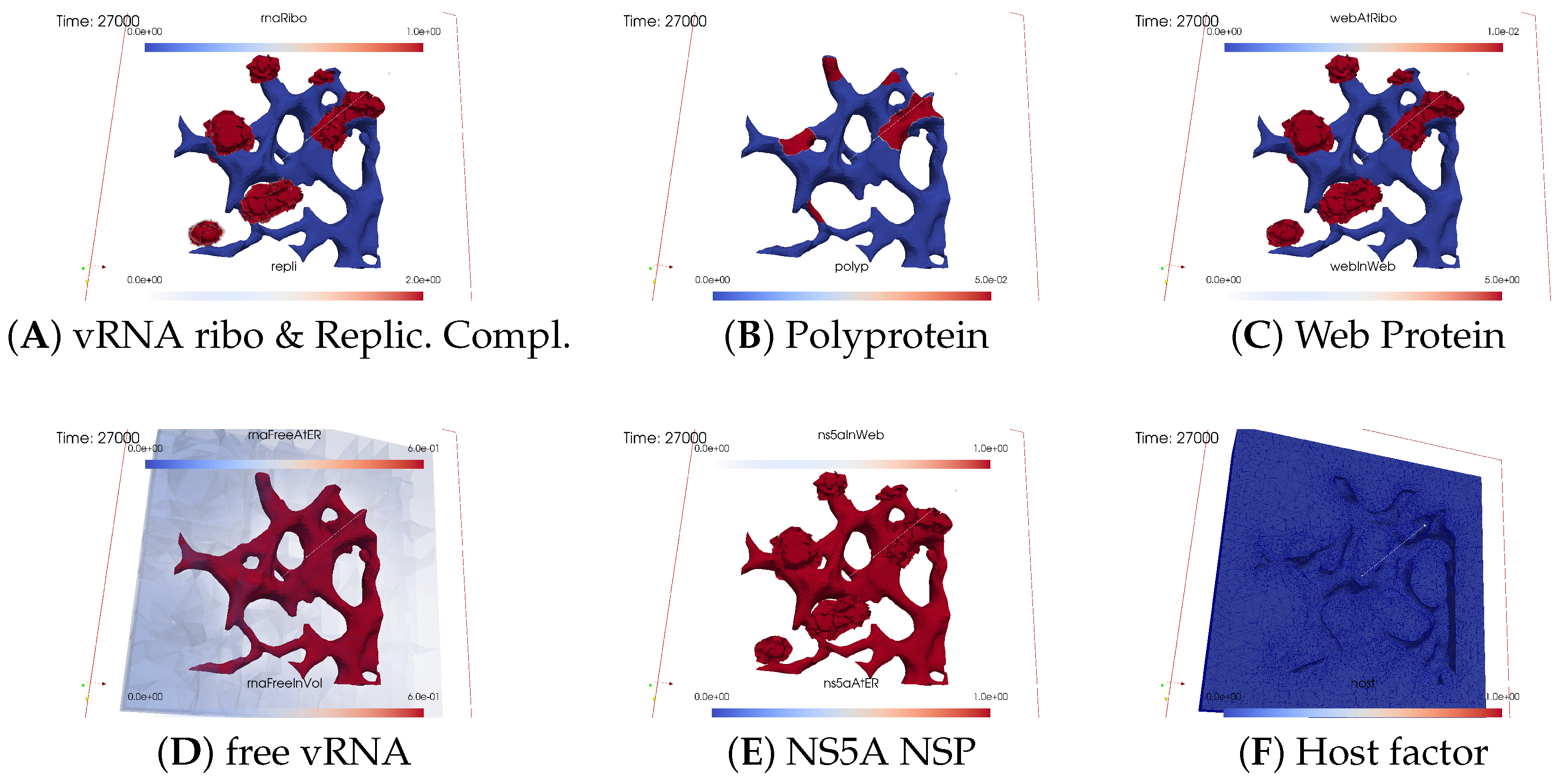 Viruses 16 00840 g013