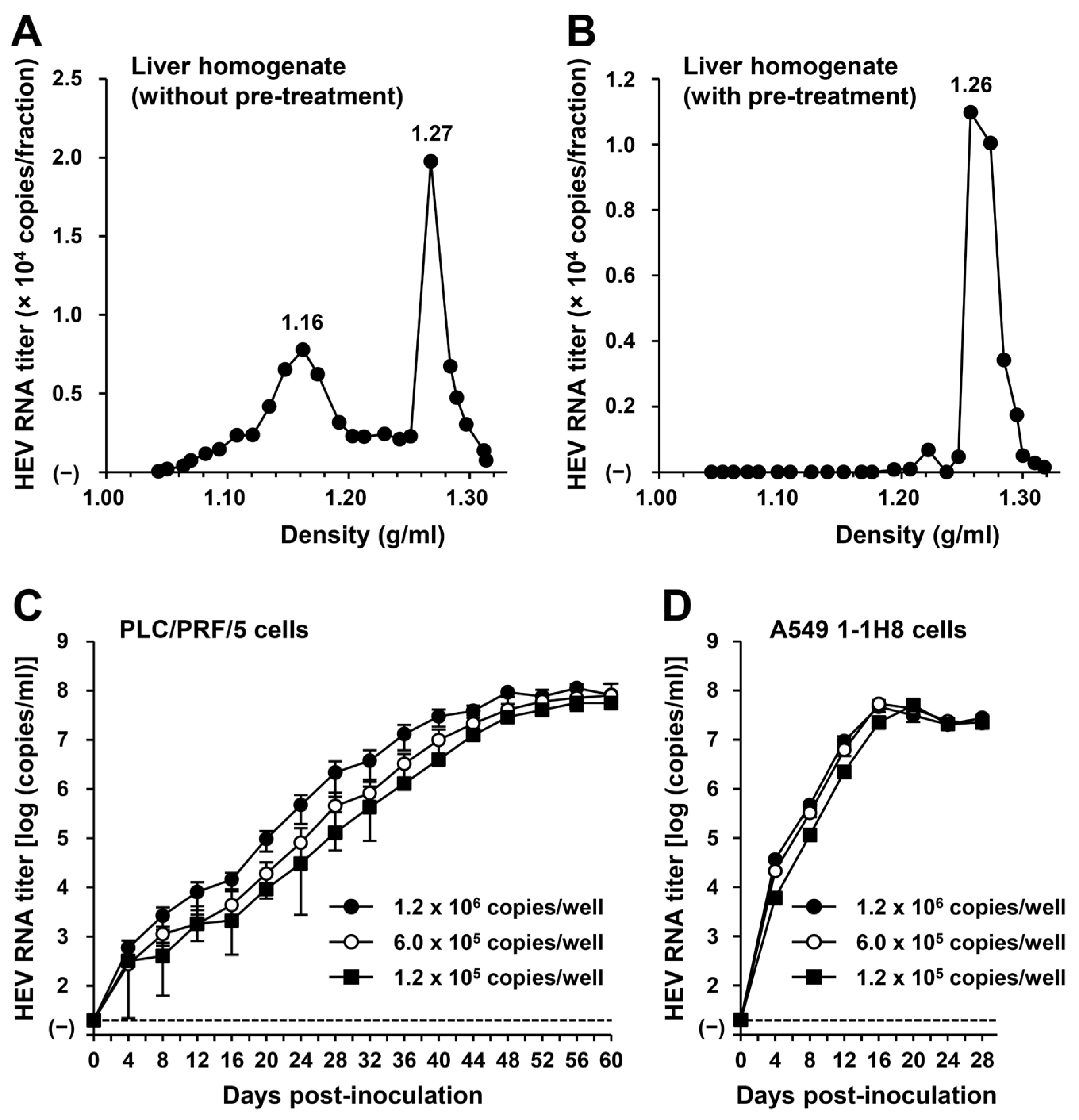 Viruses 16 00842 g005a