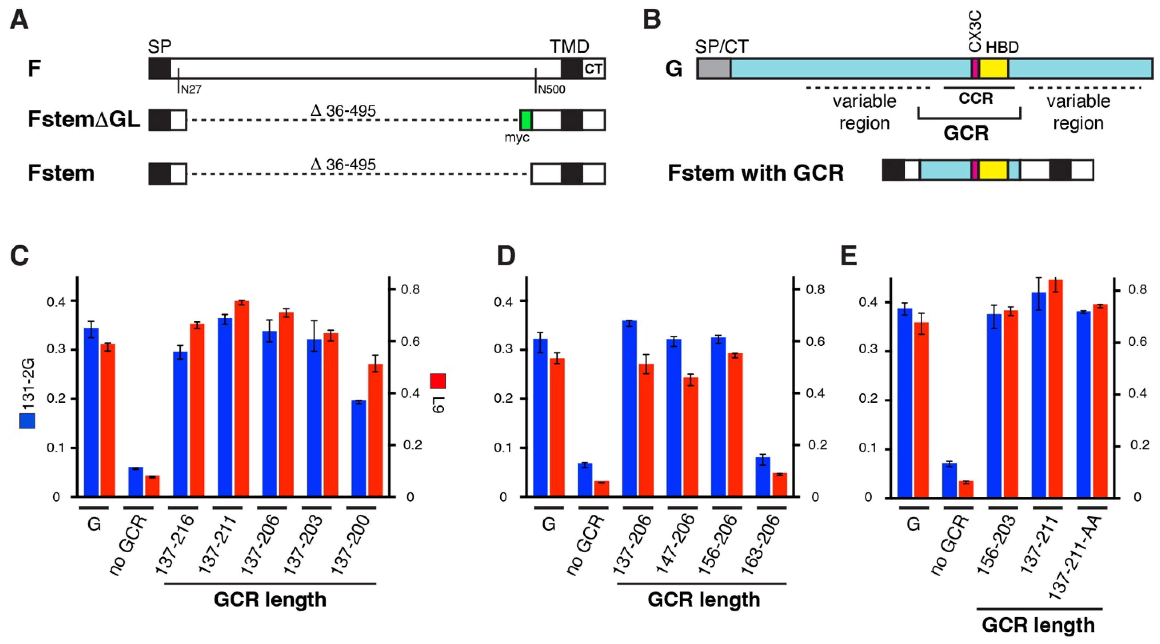 Viruses 16 00843 g001