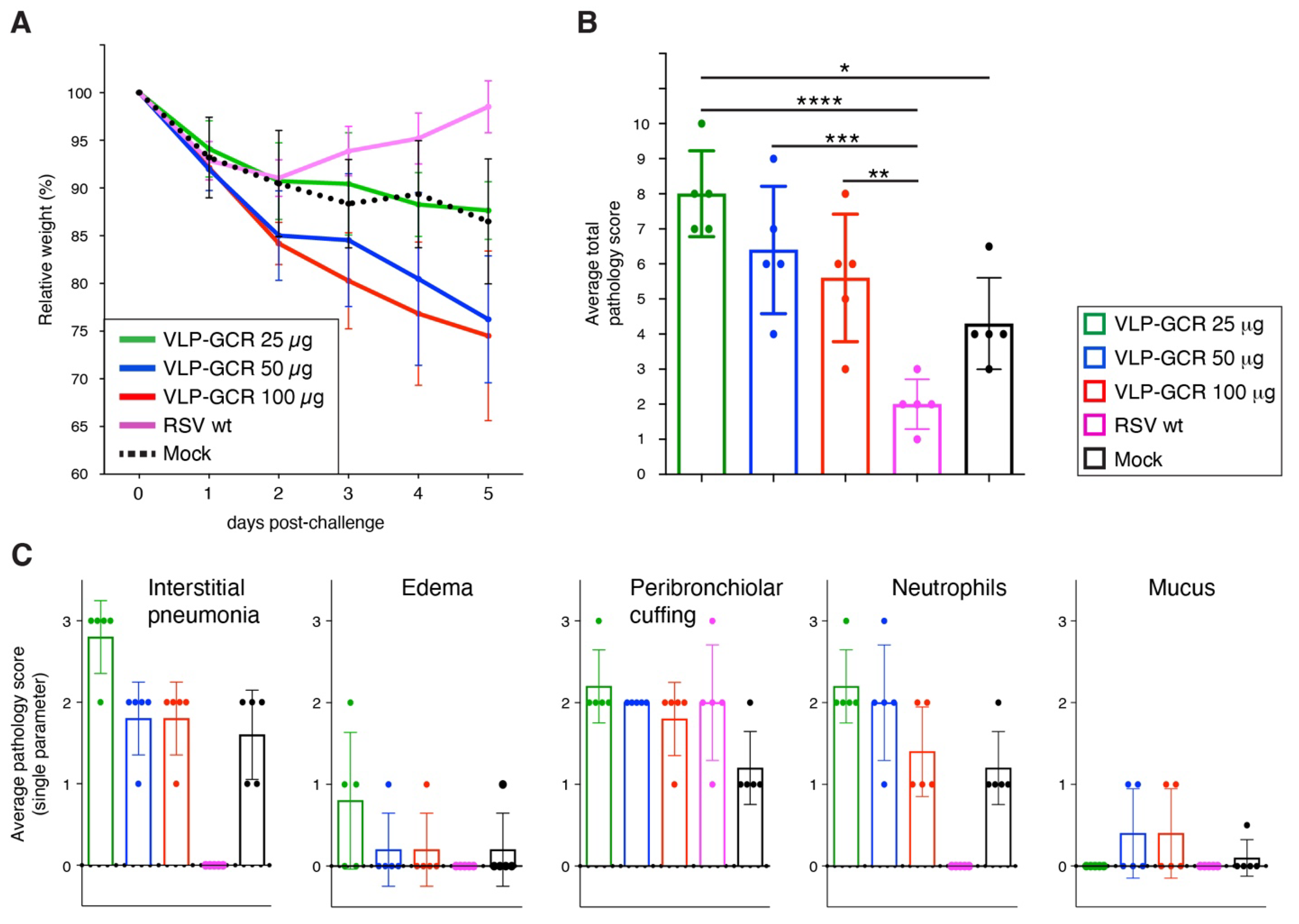 Viruses 16 00843 g005