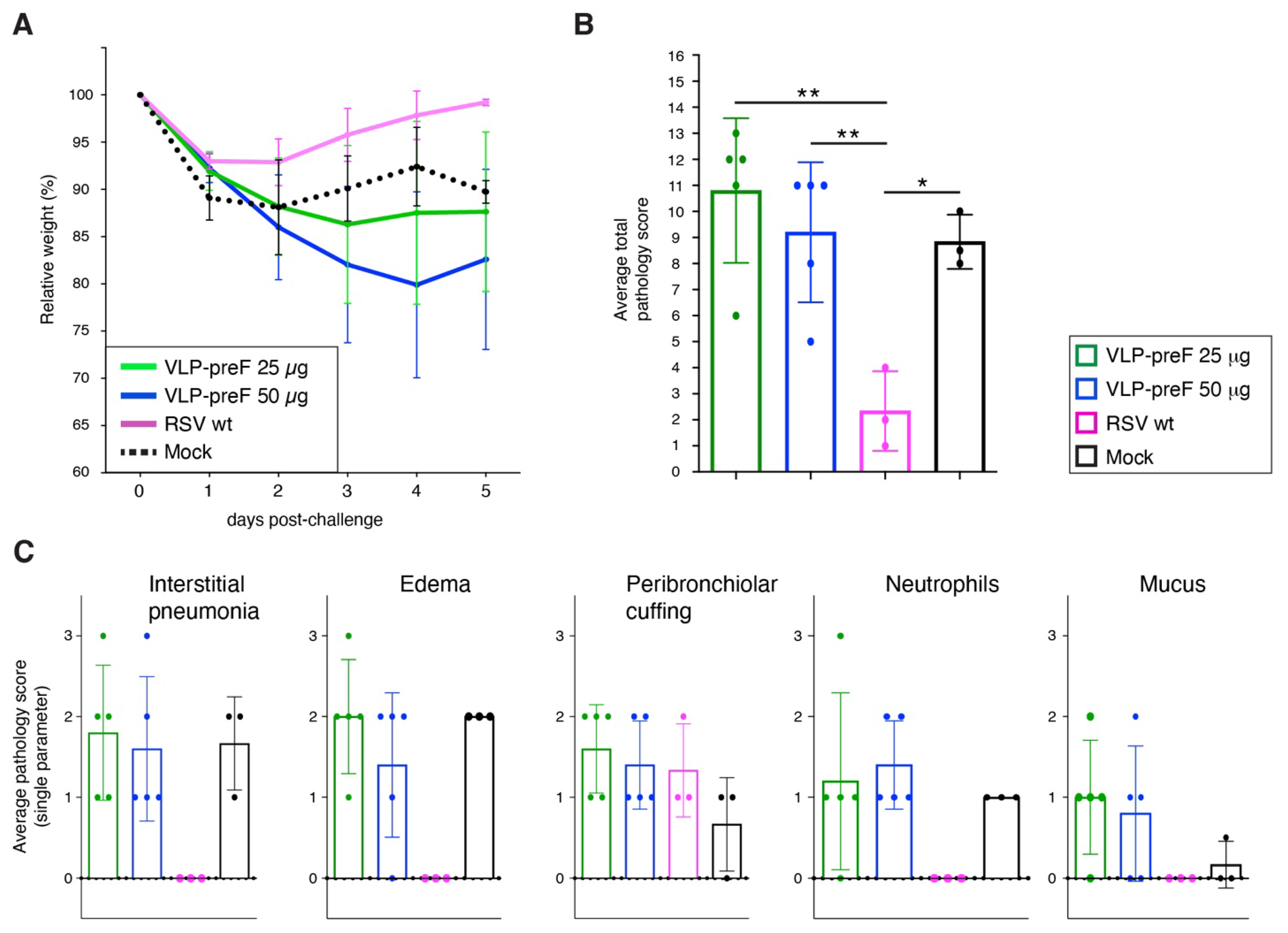 Viruses 16 00843 g007