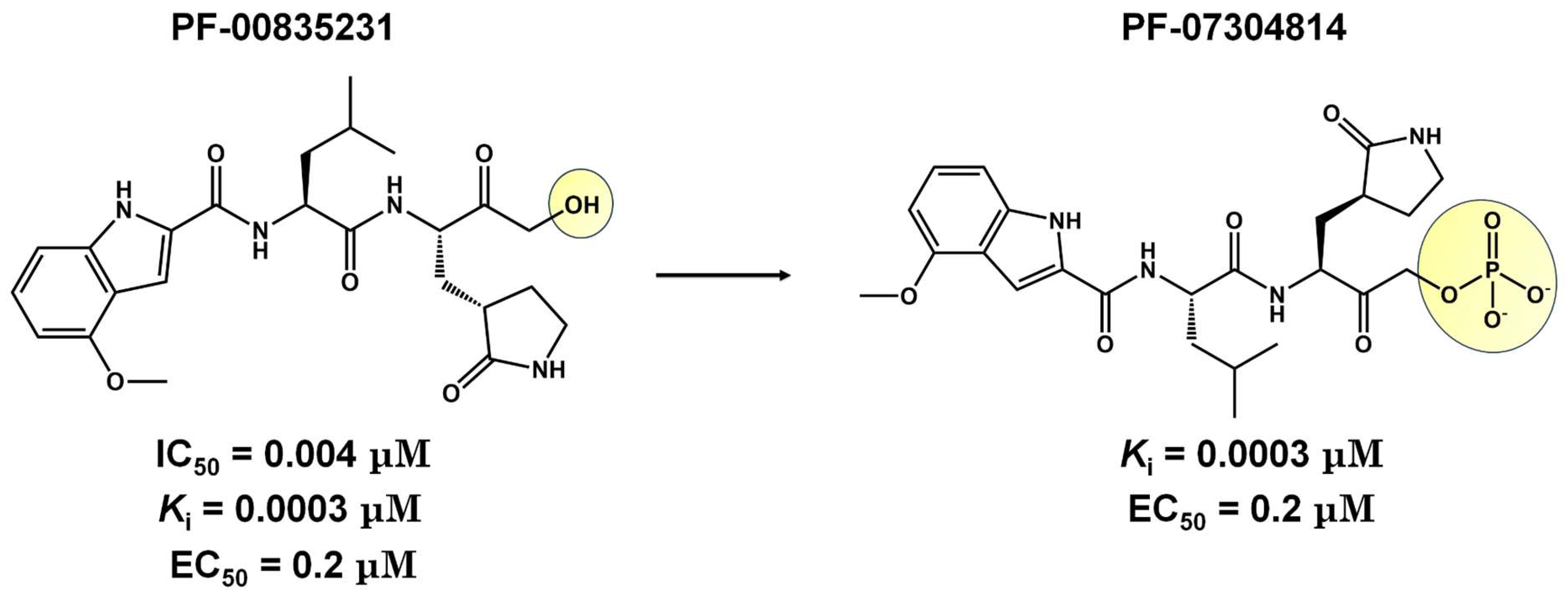 Viruses 16 00844 g003