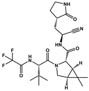 Viruses 16 00844 i001