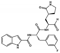 Viruses 16 00844 i004