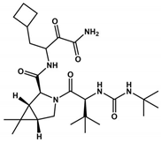 Viruses 16 00844 i005