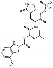 Viruses 16 00844 i008