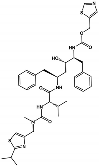 Viruses 16 00844 i009
