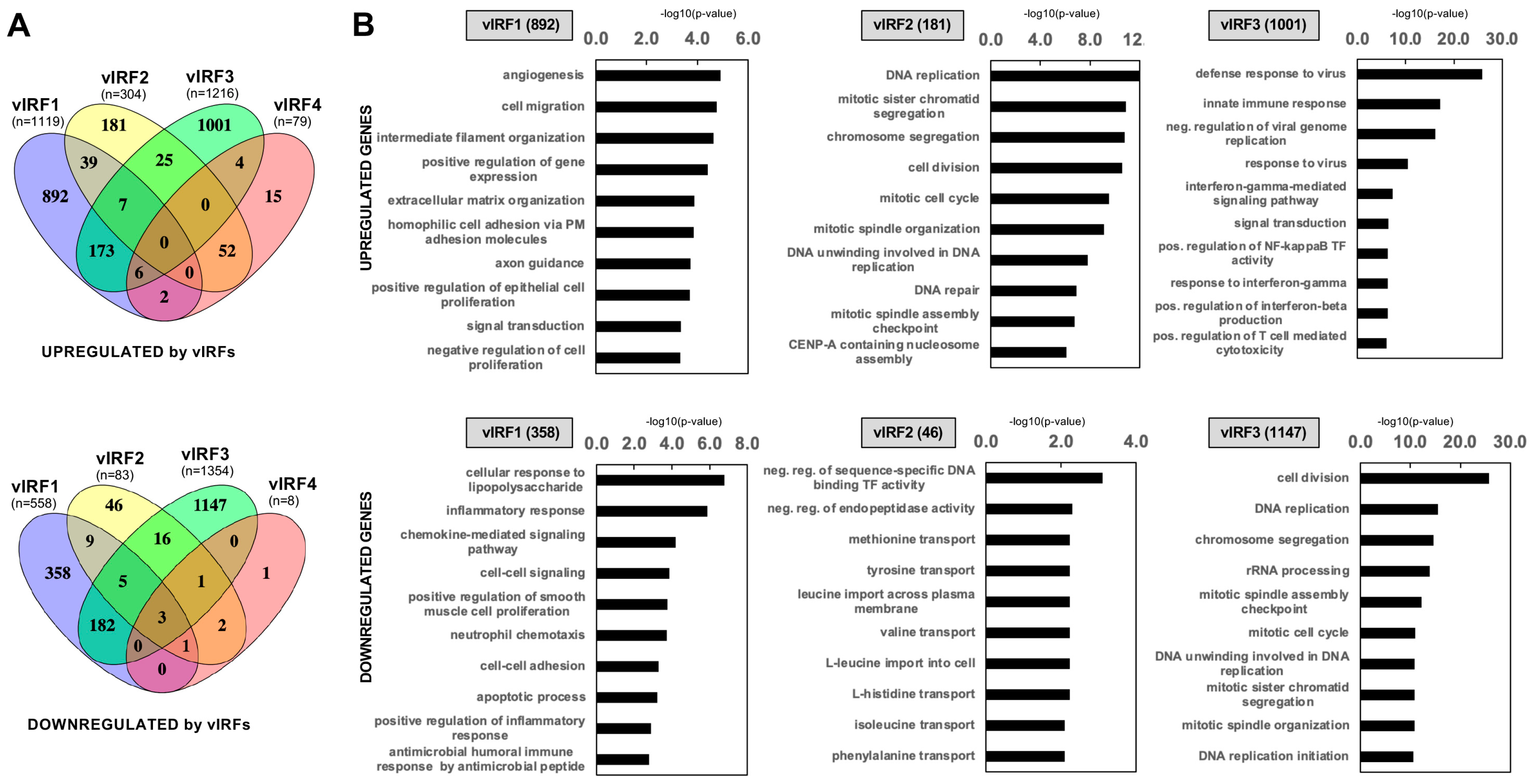 Viruses 16 00846 g005