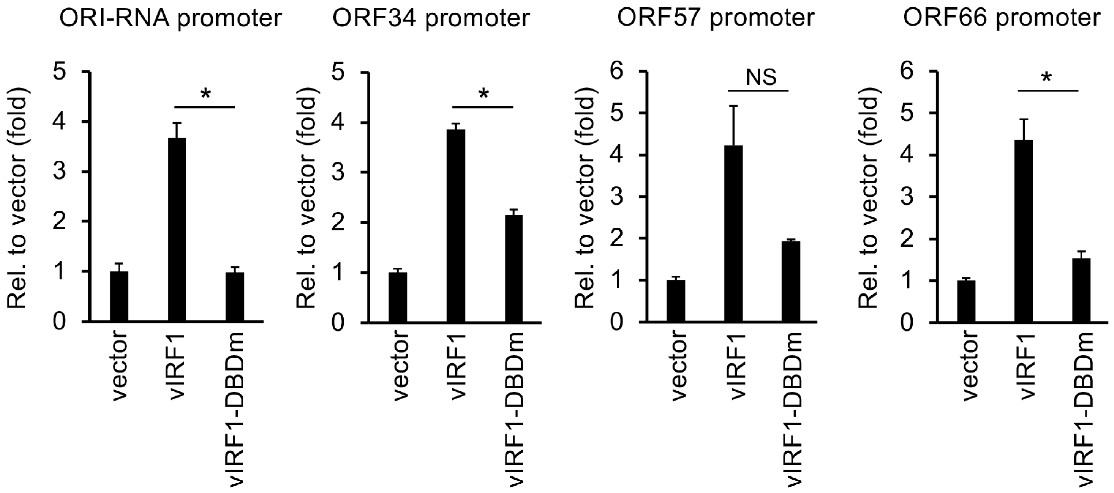 Viruses 16 00846 g009