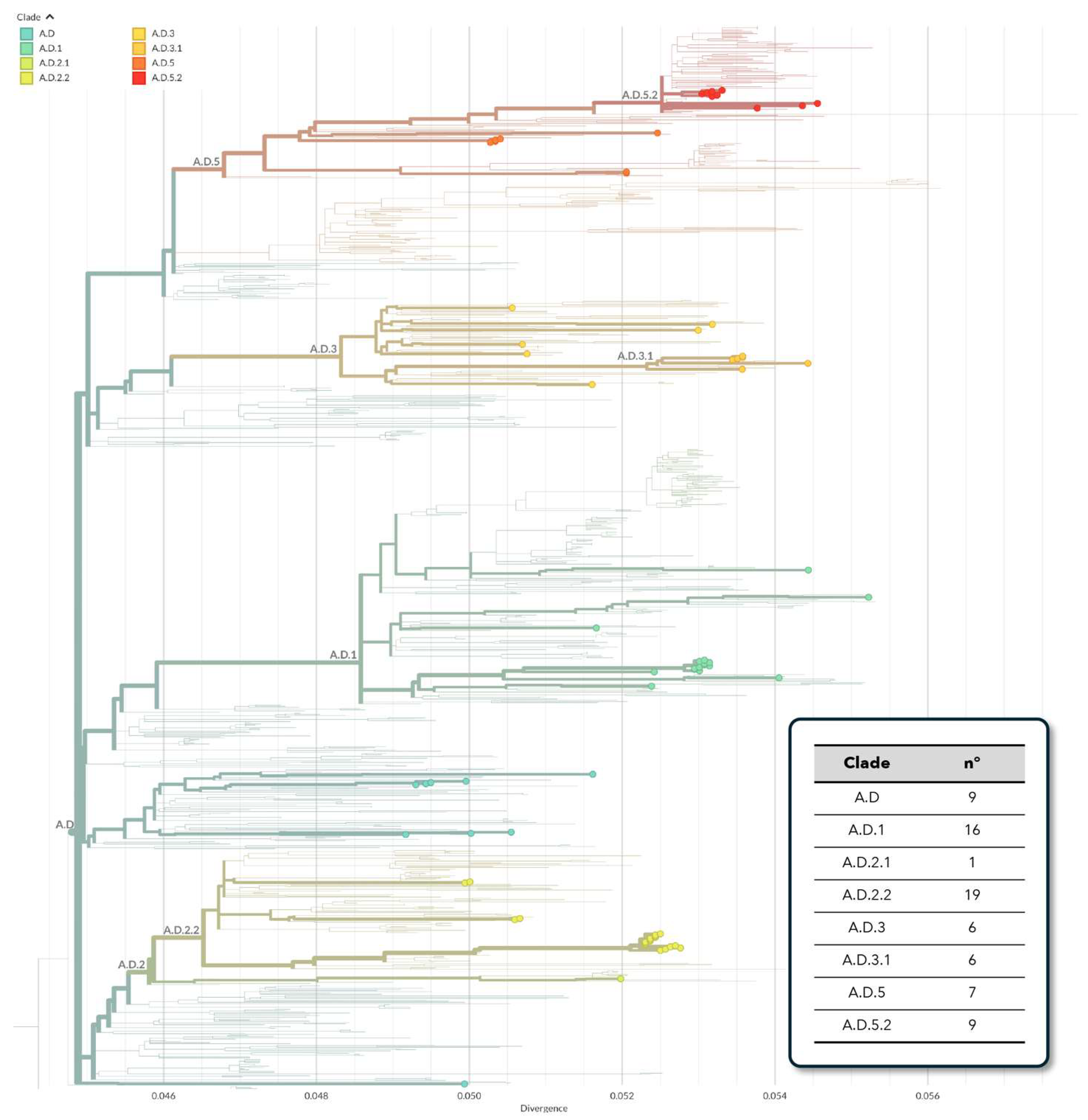 Viruses 16 00851 g001