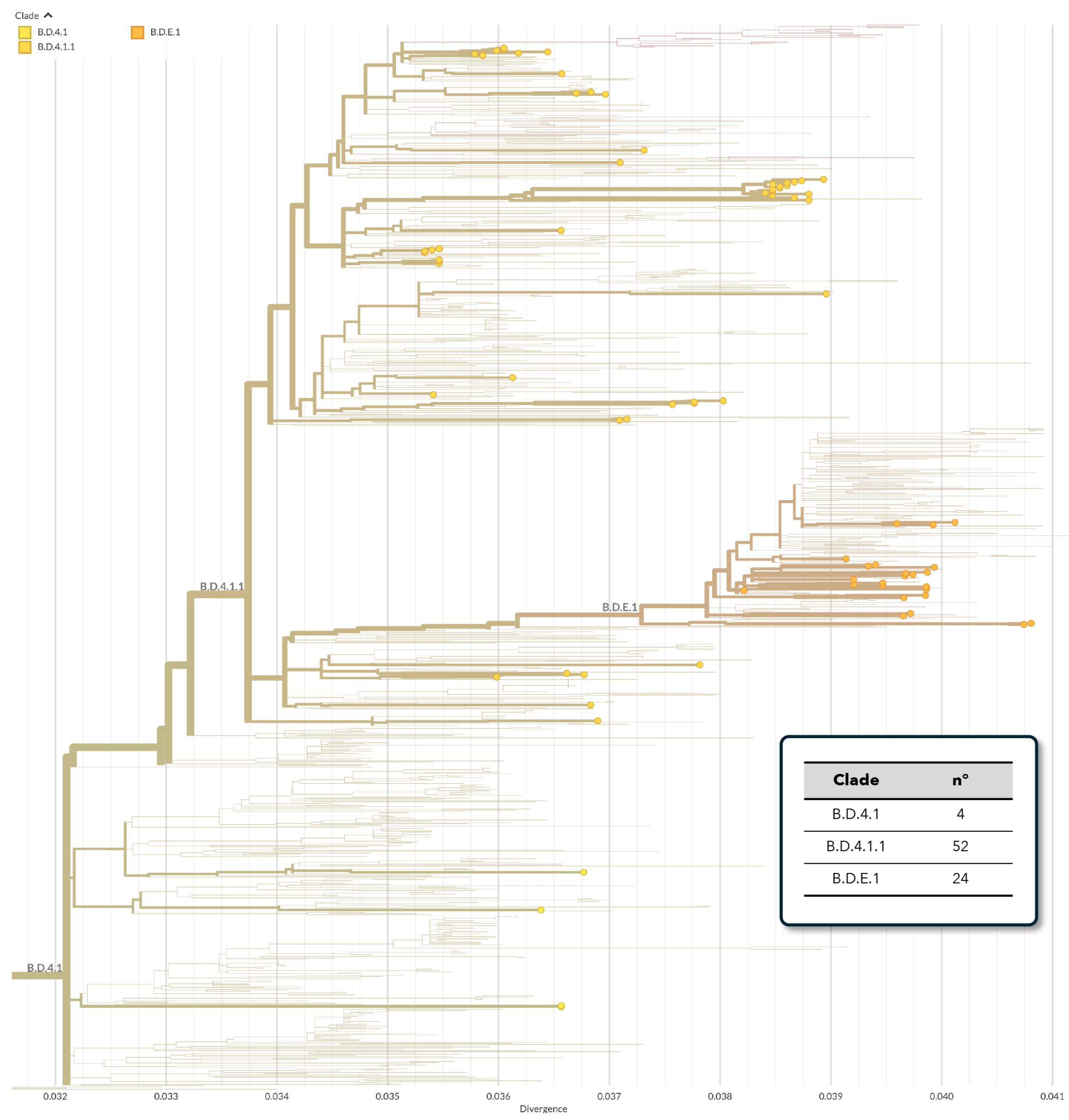 Viruses 16 00851 g002