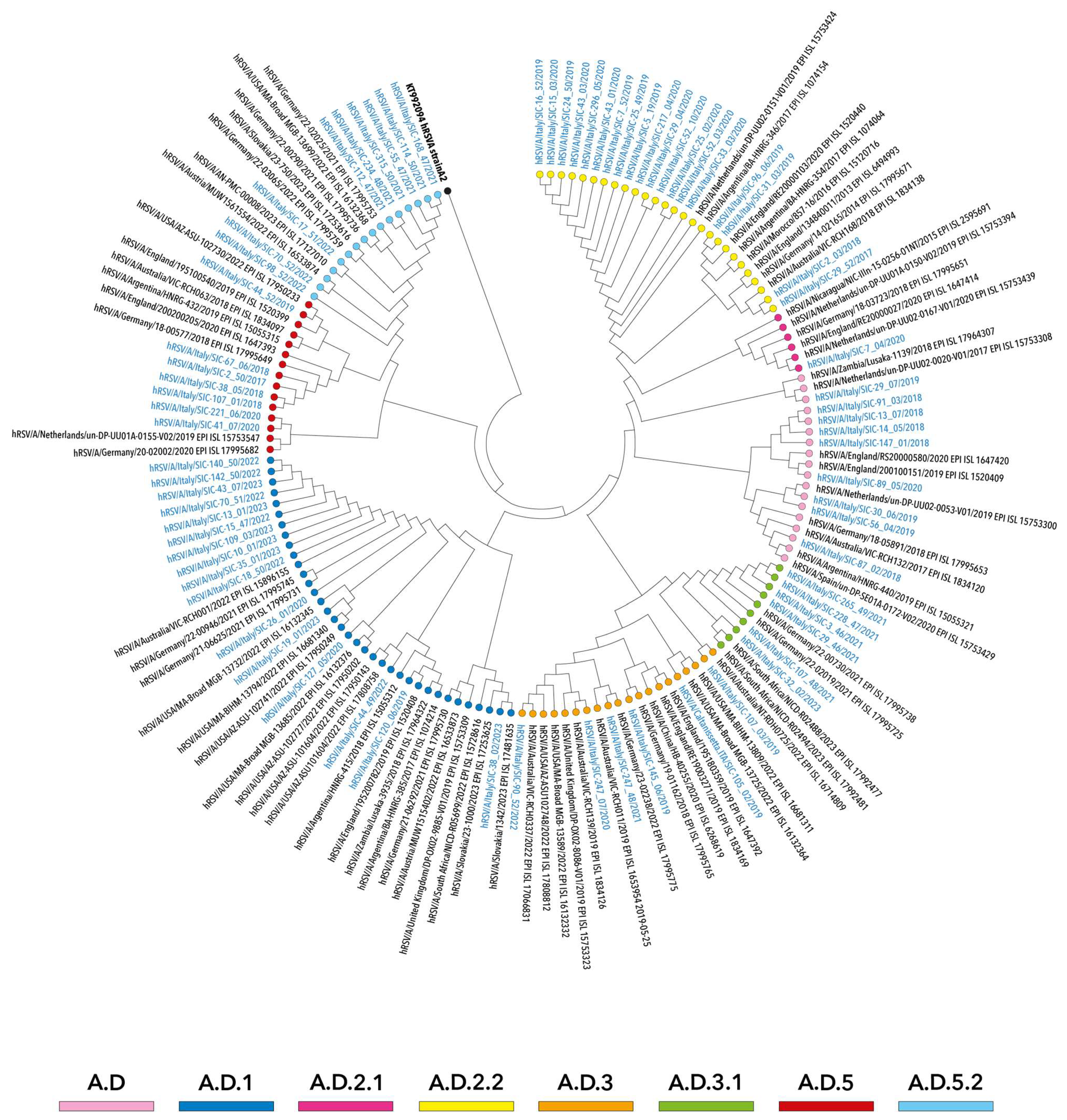 Viruses 16 00851 g003