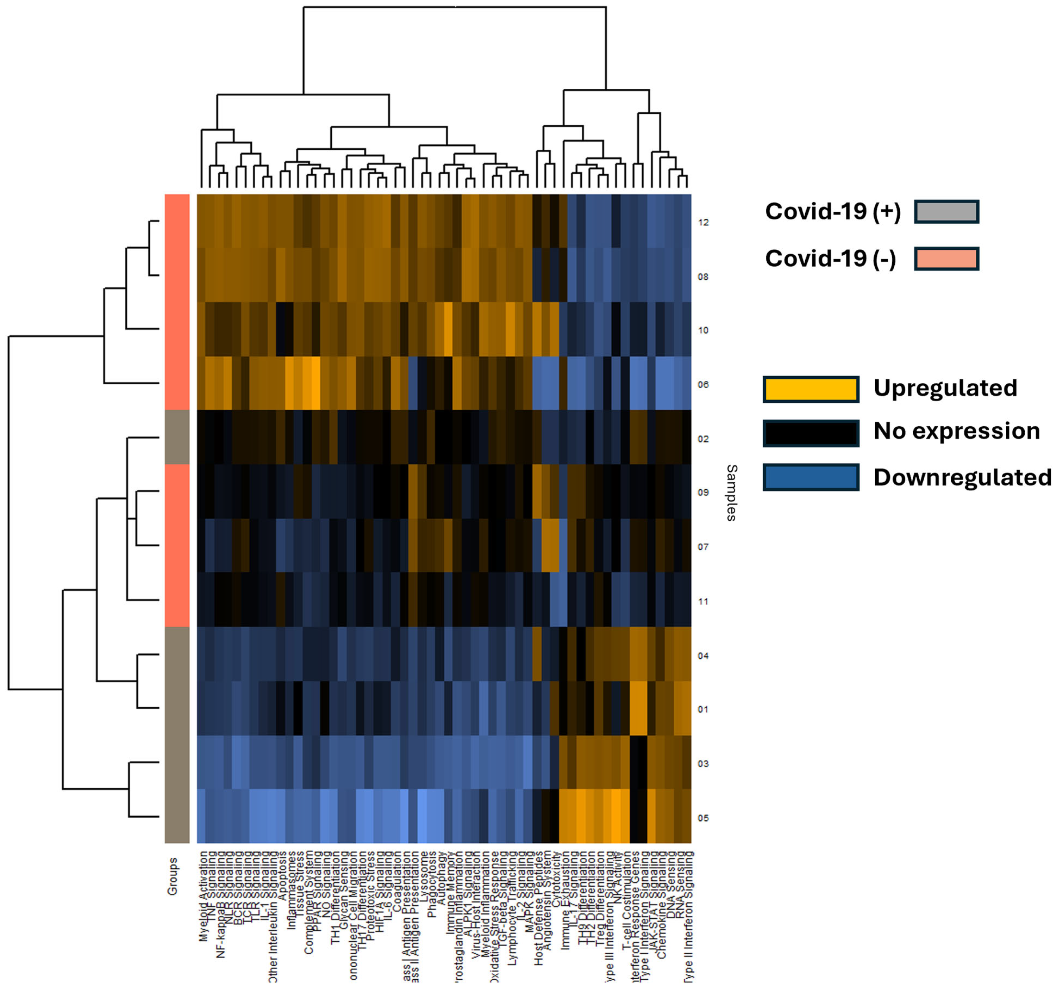Viruses 16 00853 g003