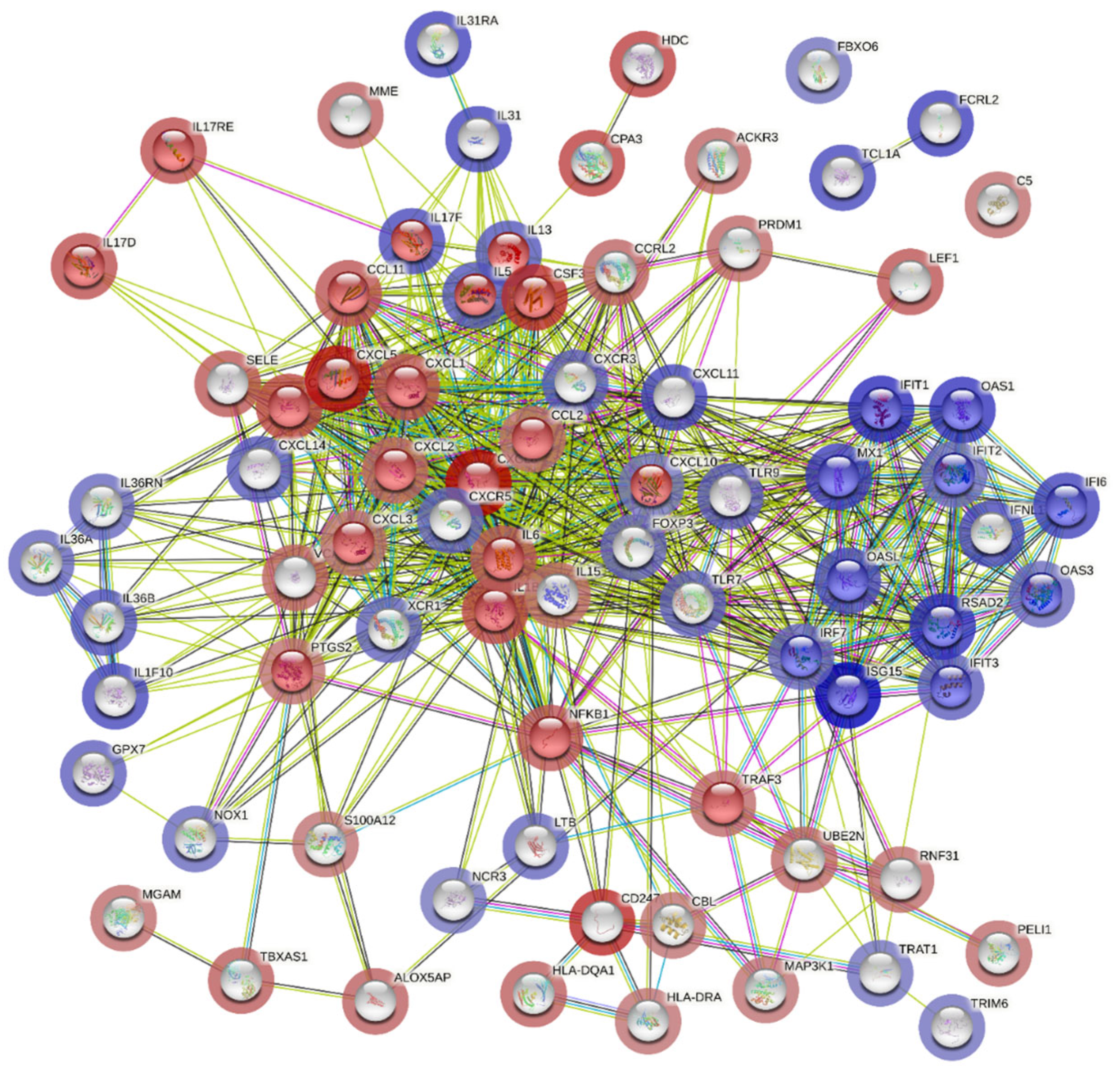 Viruses 16 00853 g005