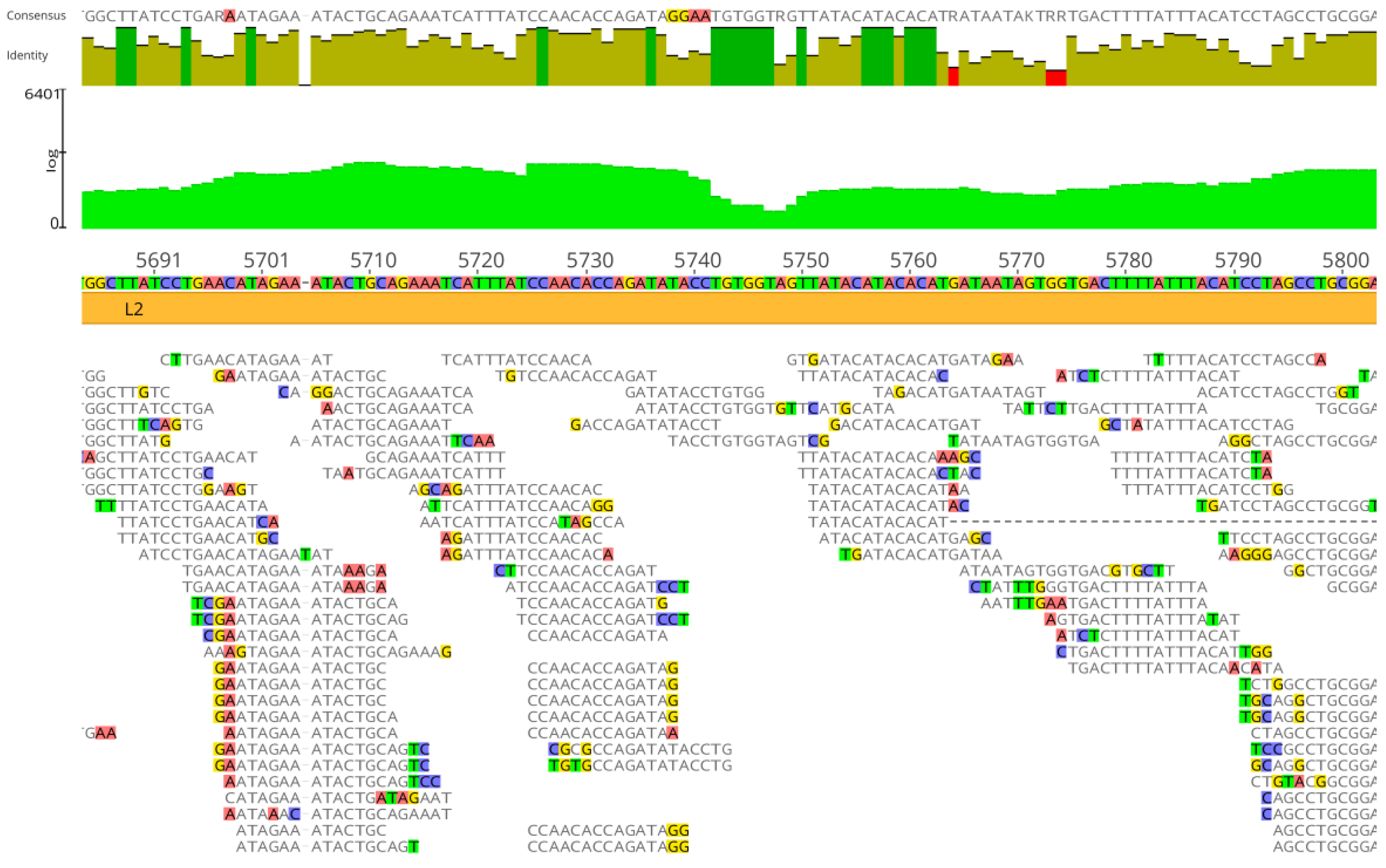 Viruses 16 00856 g004