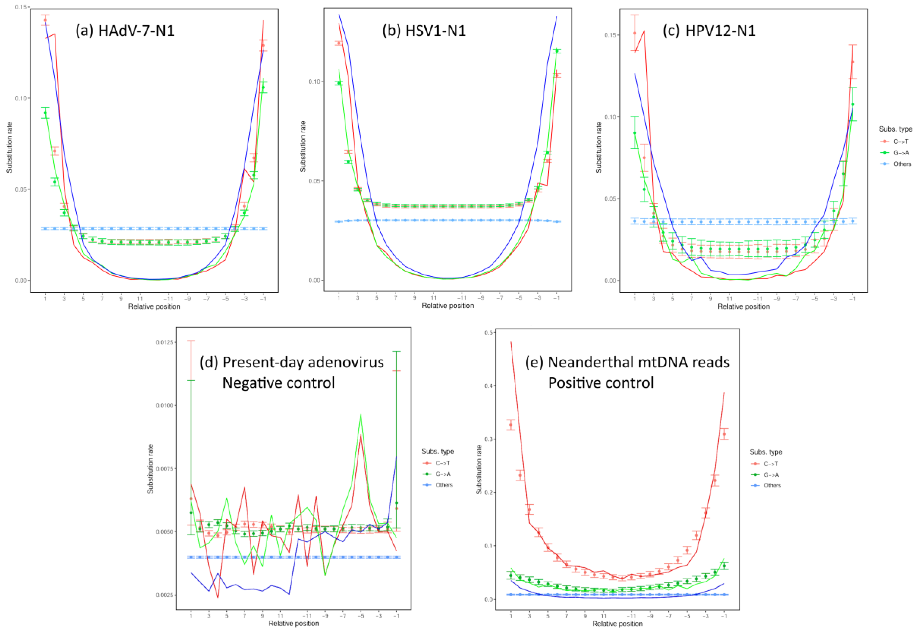 Viruses 16 00856 g006