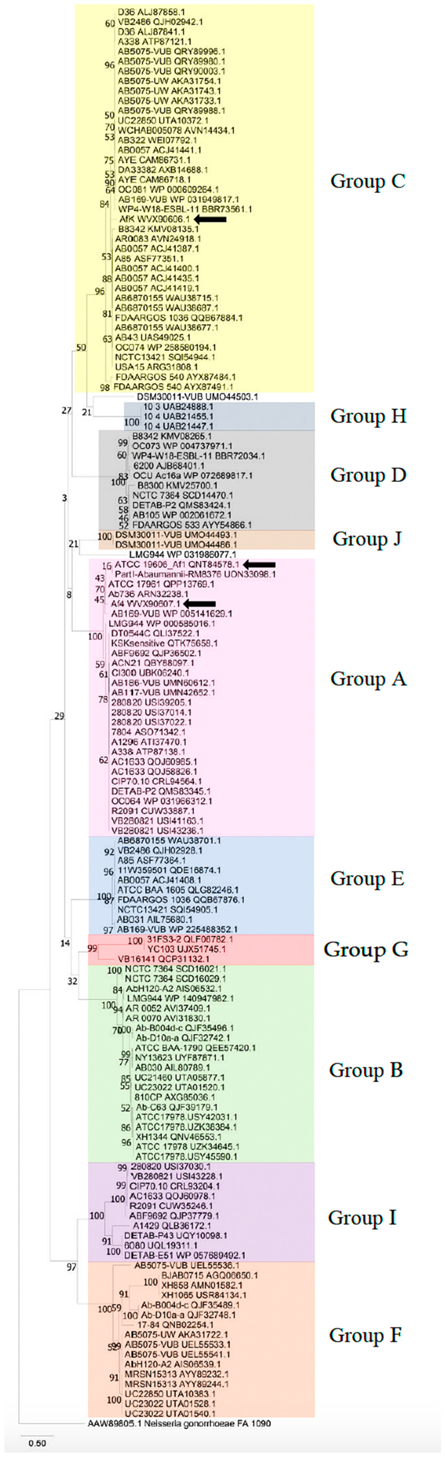 Viruses 16 00857 g002