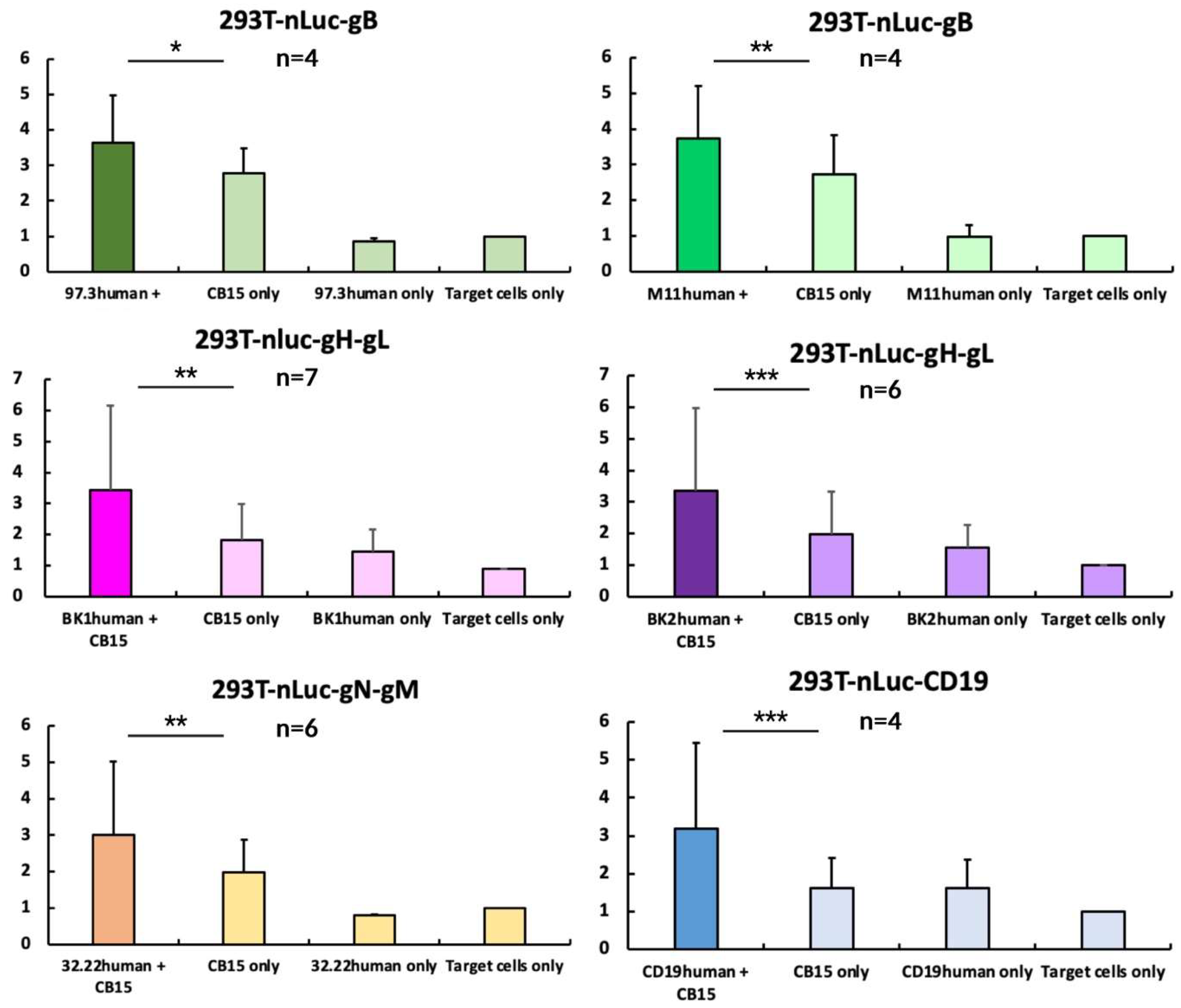 Viruses 16 00869 g007