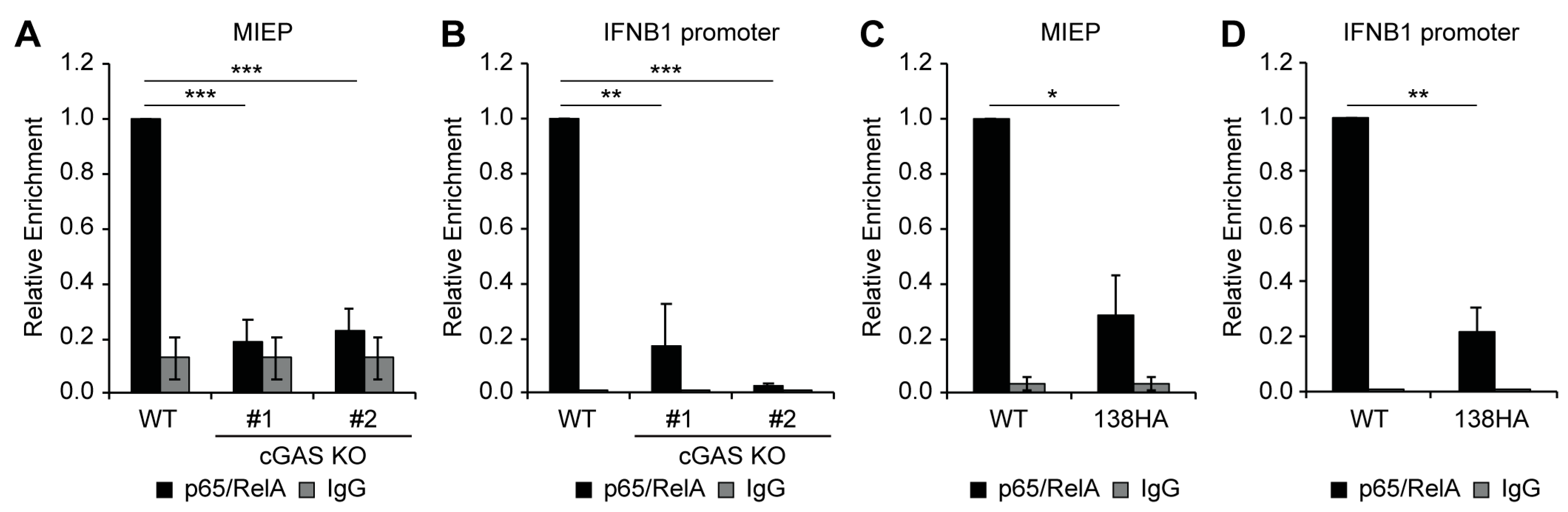 Viruses 16 00877 g007
