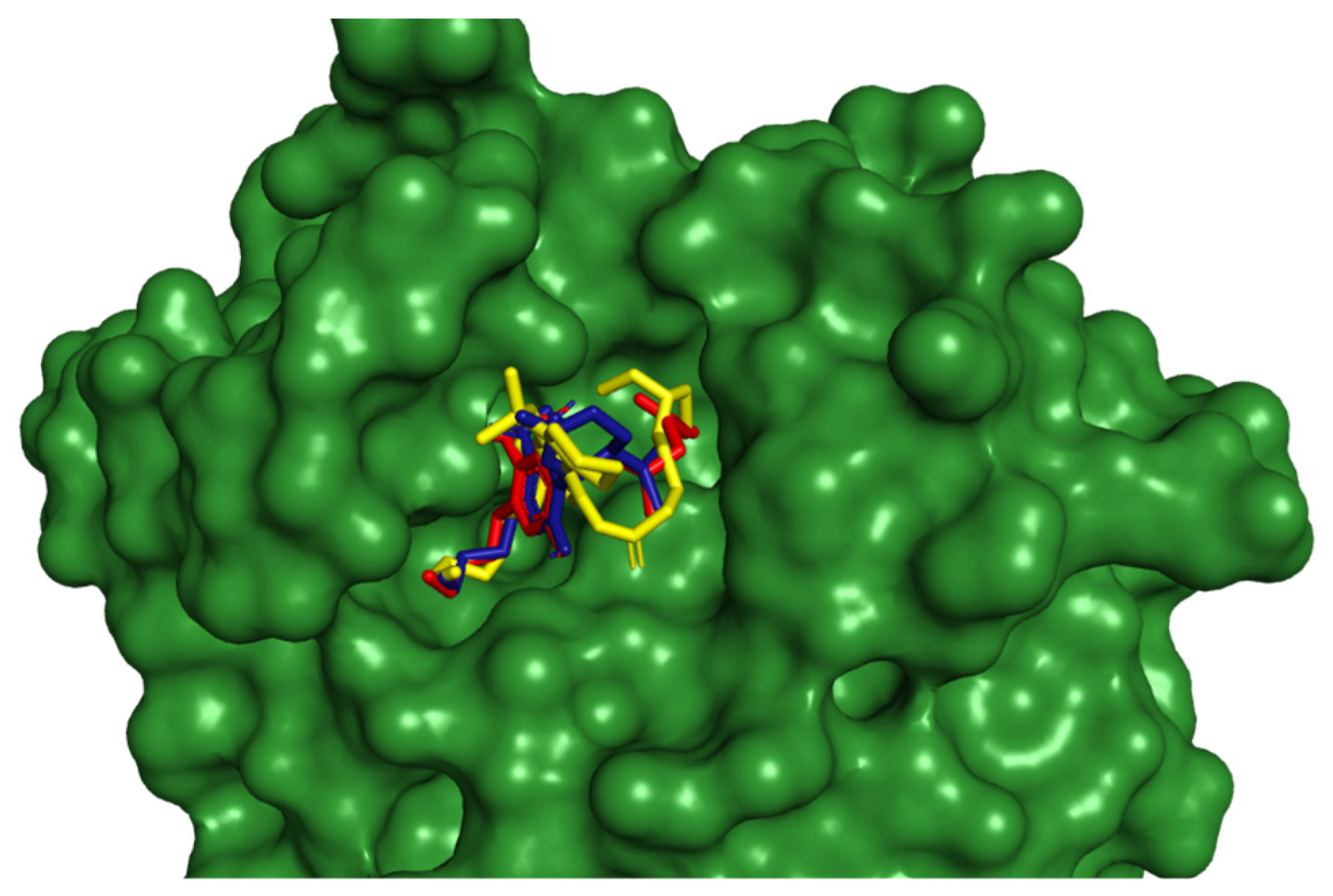 Viruses 16 00878 g004