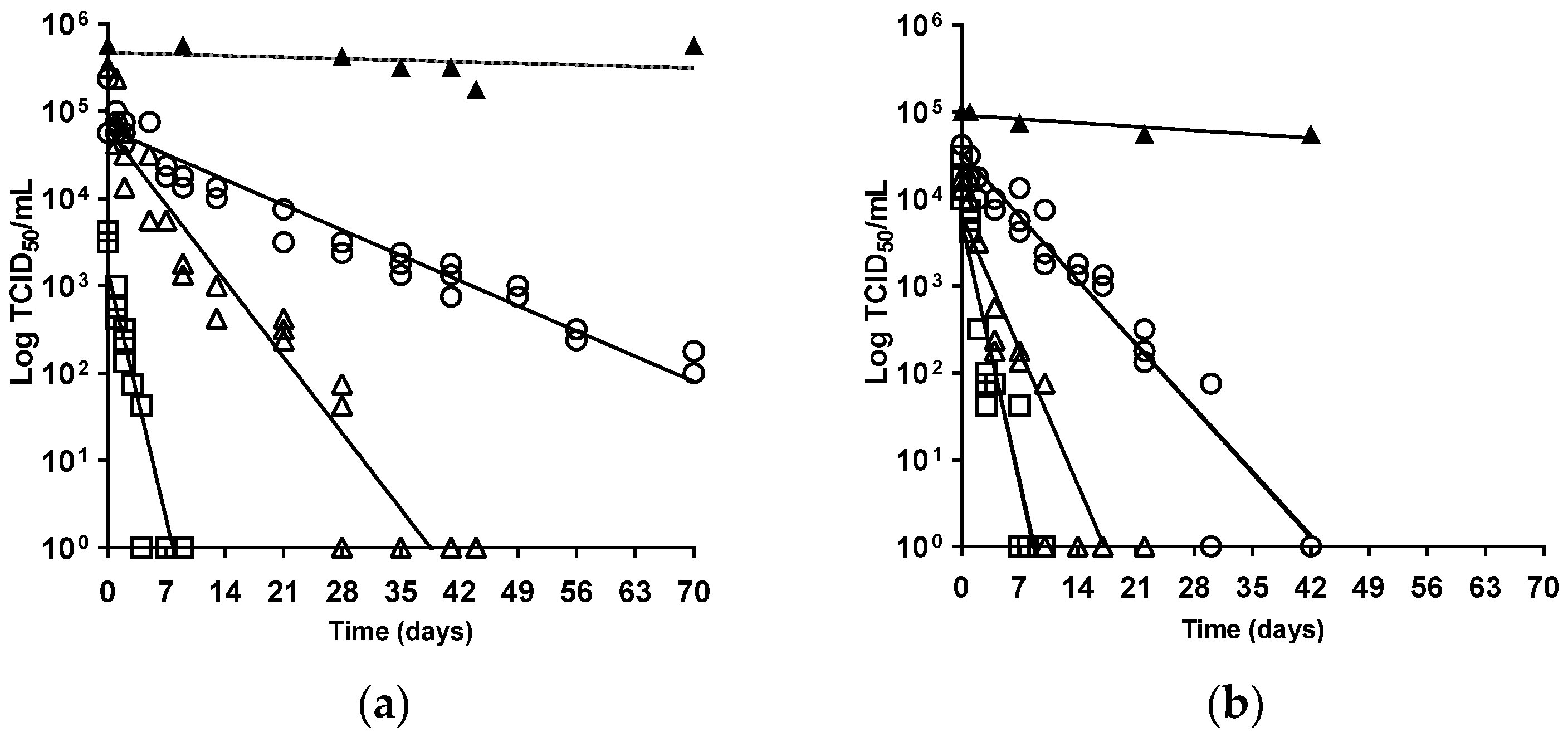 Viruses 16 00889 g001