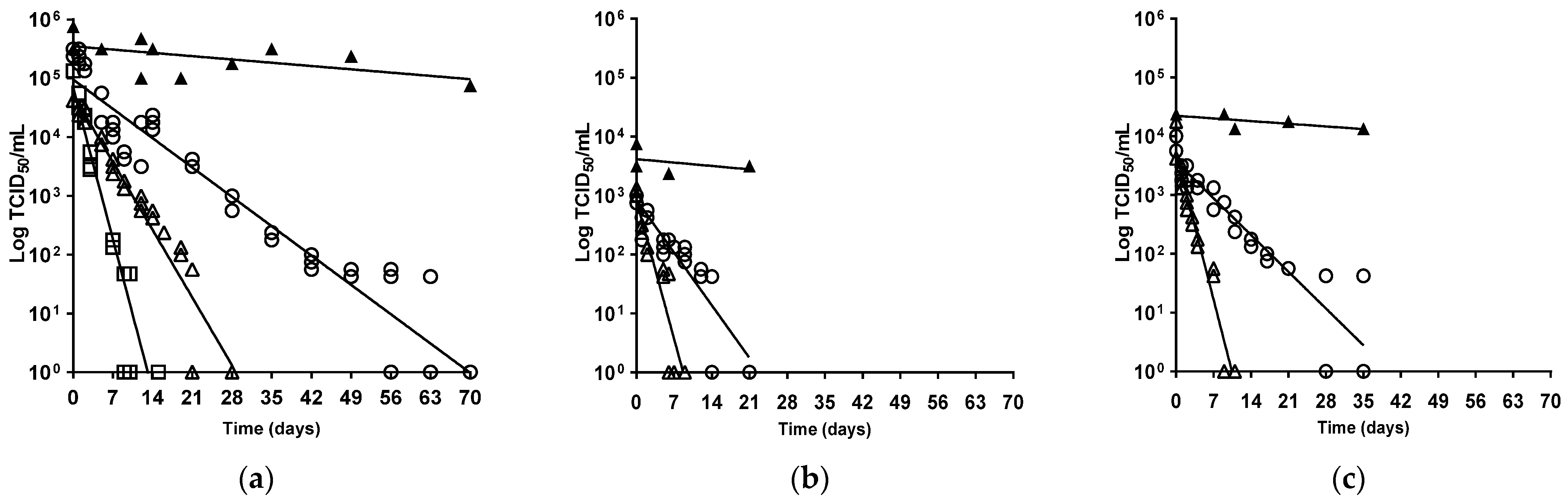 Viruses 16 00889 g002