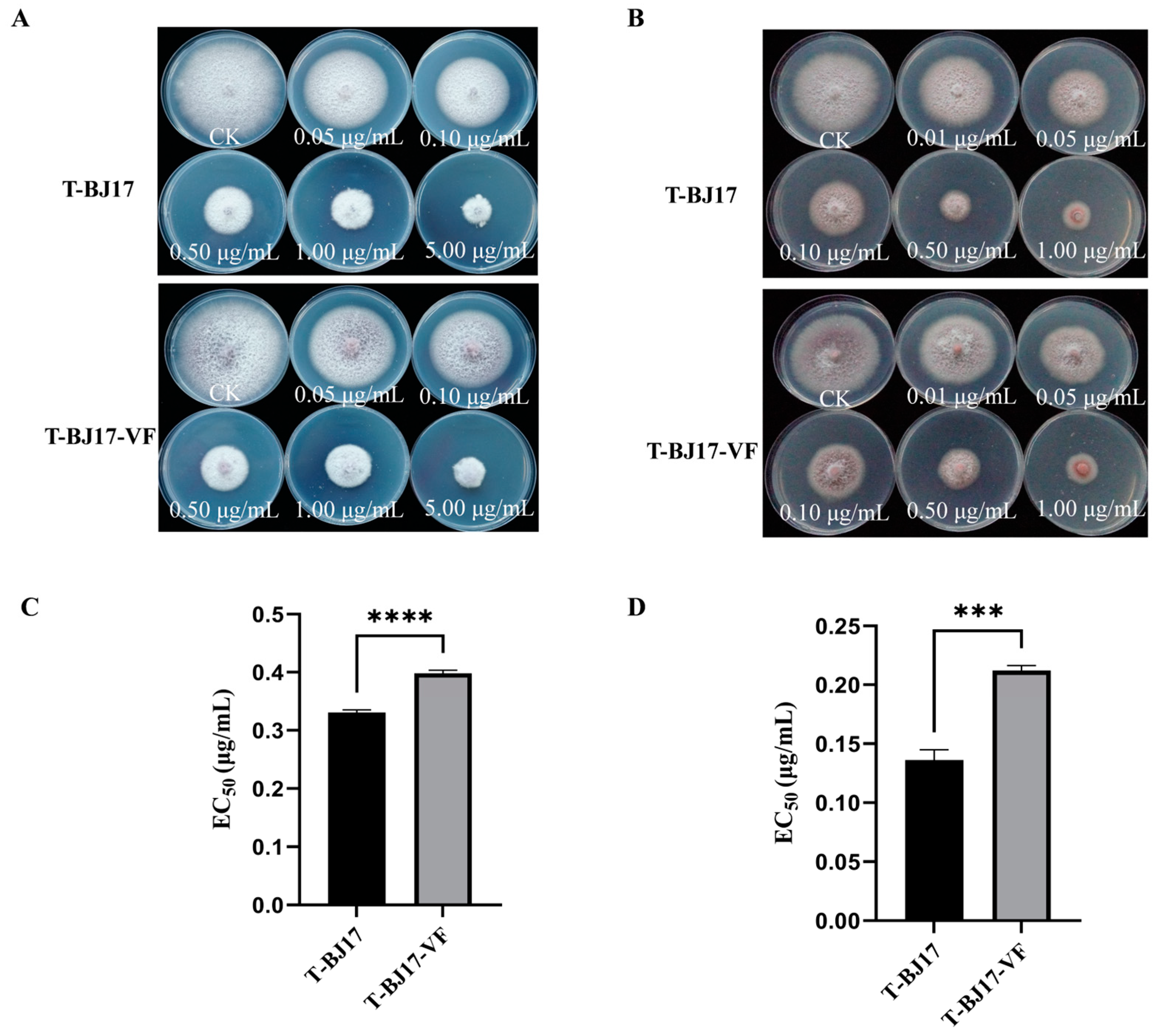 Viruses 16 00901 g004