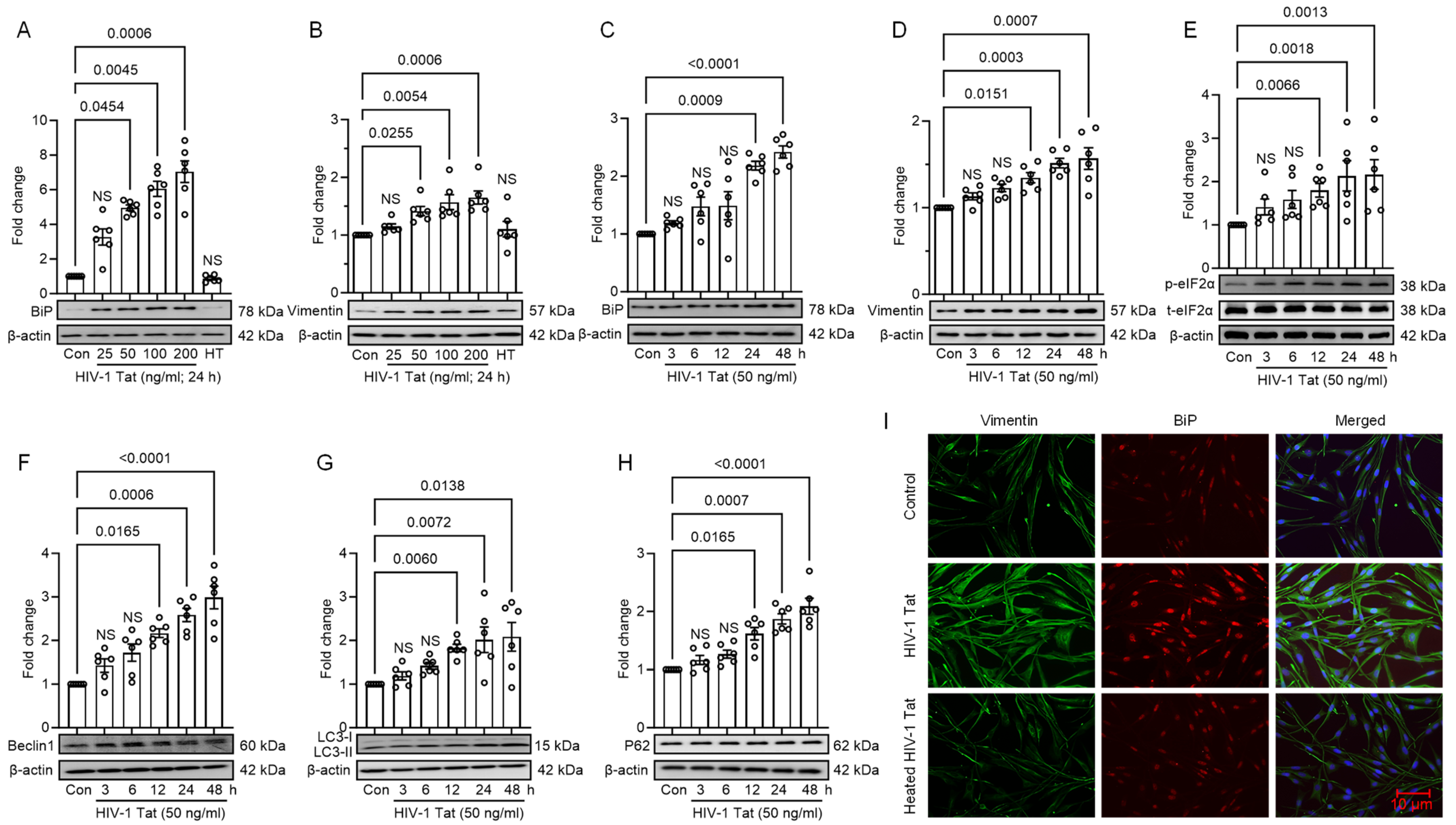 Viruses 16 00903 g001