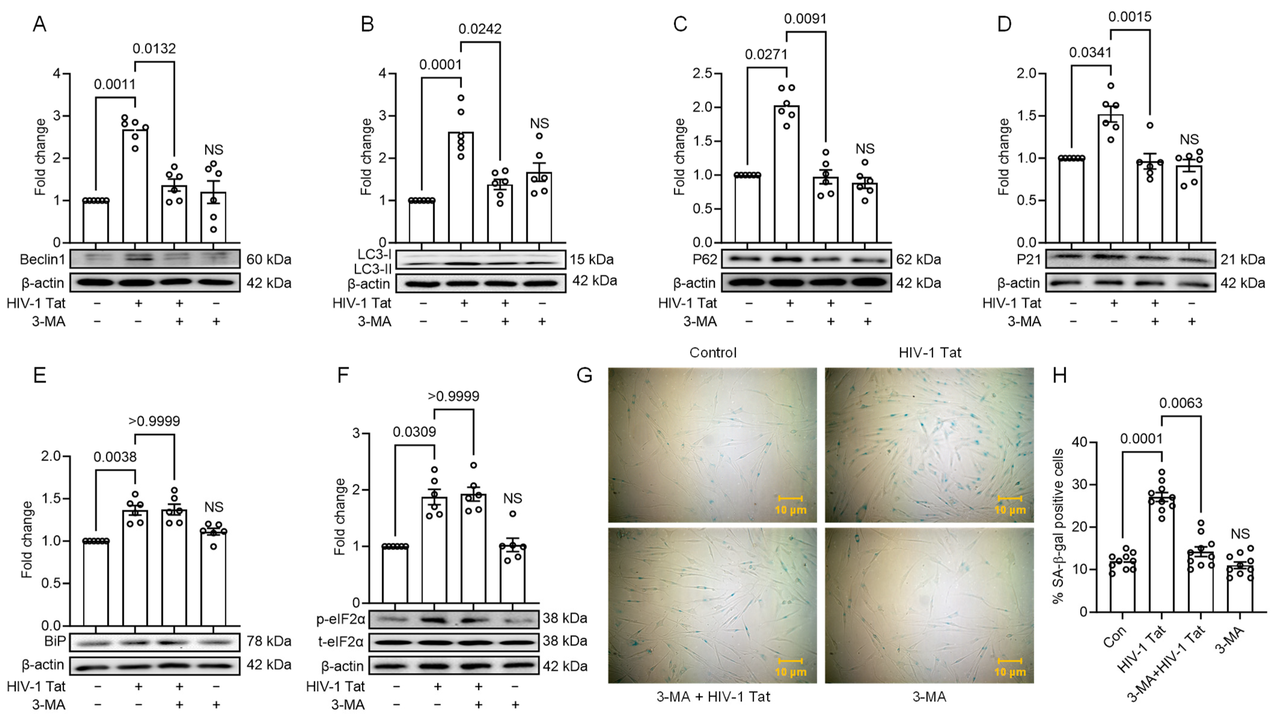 Viruses 16 00903 g005