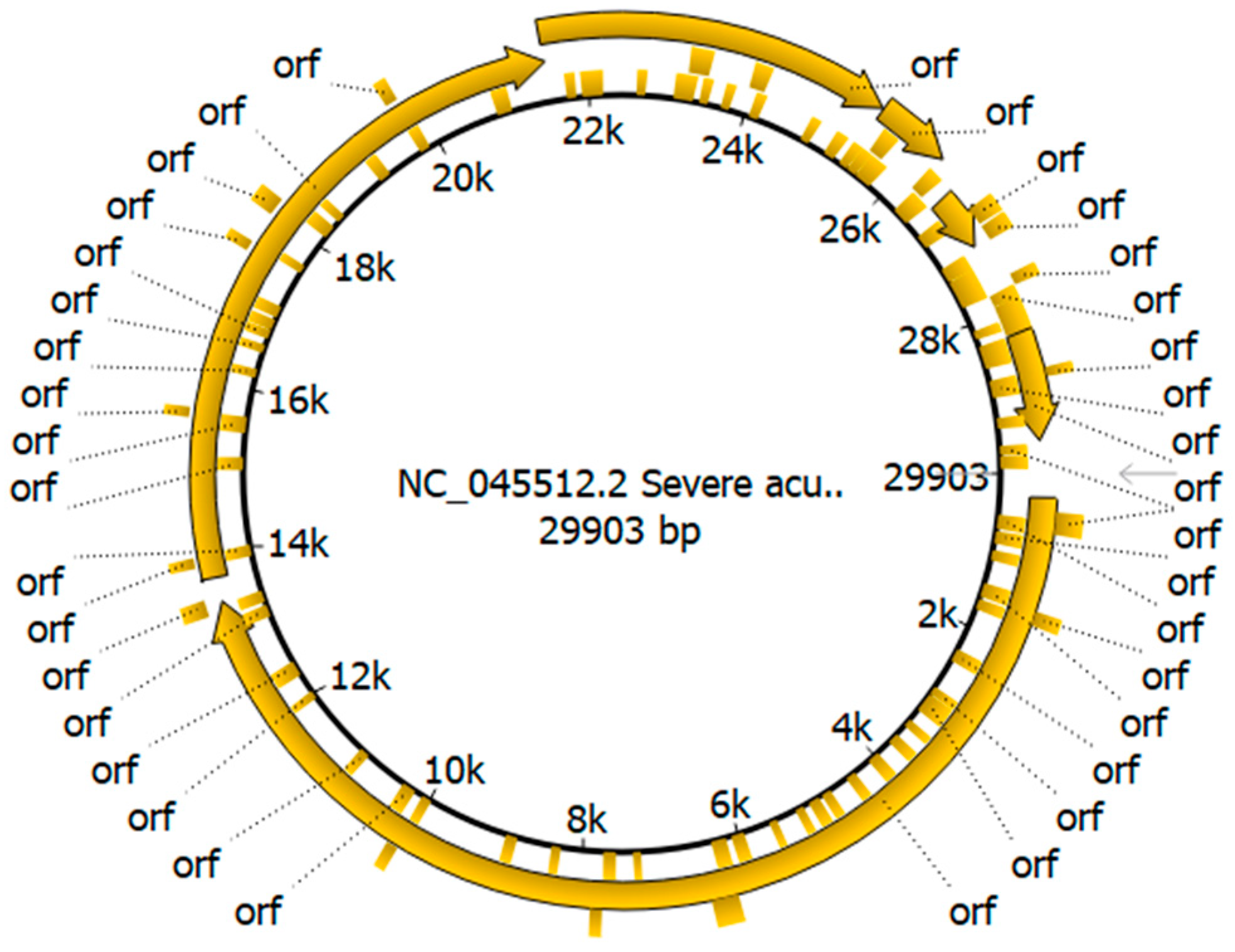 Viruses 16 00907 g001