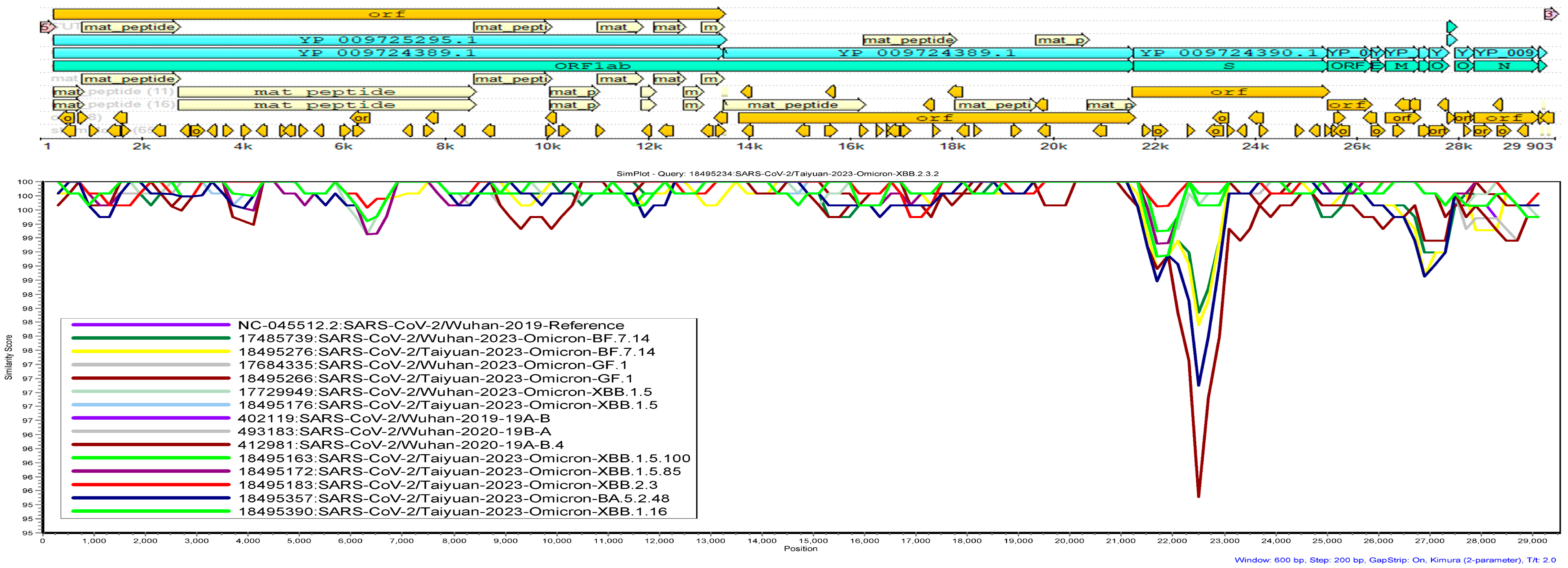 Viruses 16 00907 g005