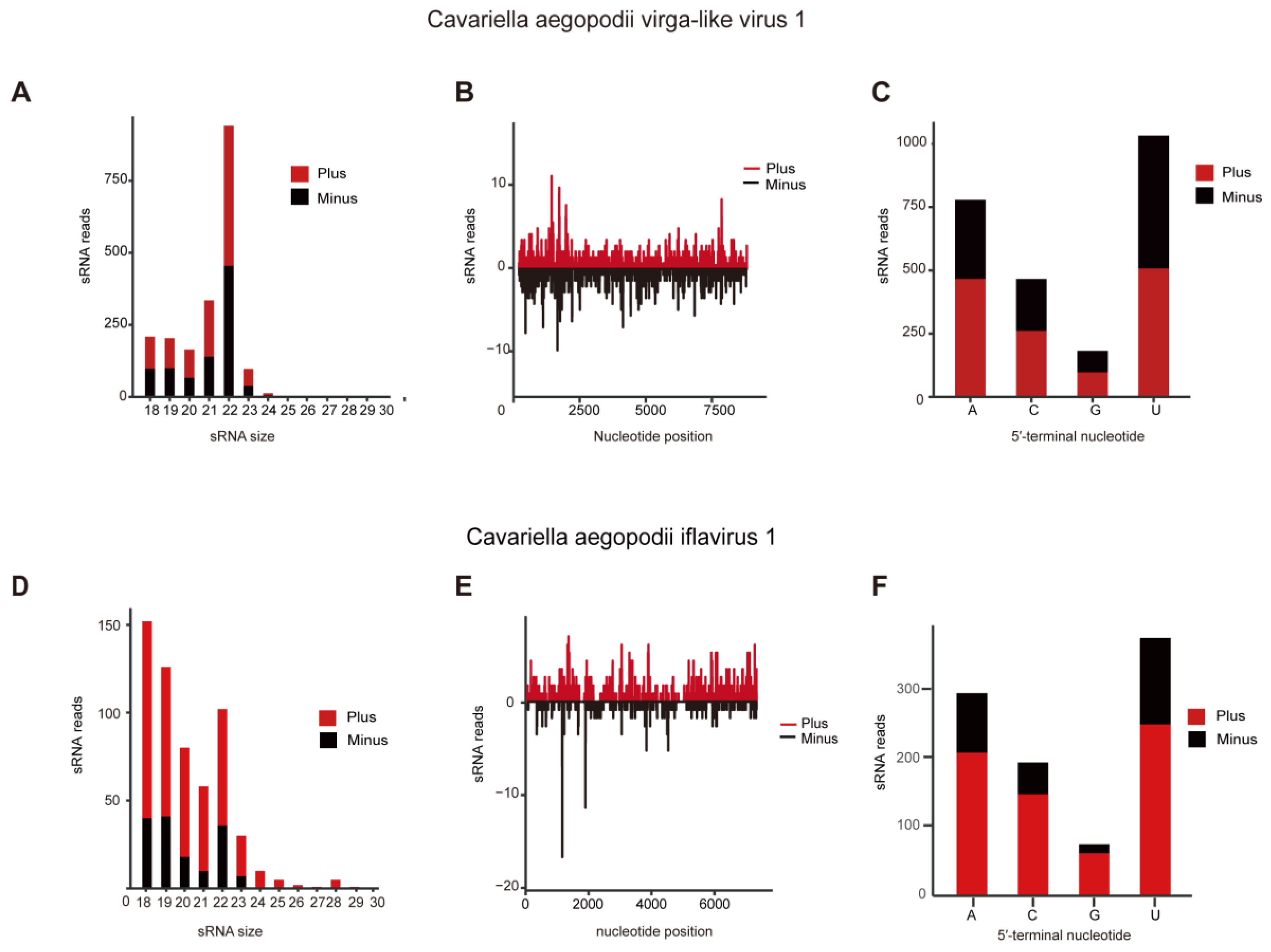 Viruses 16 00919 g003
