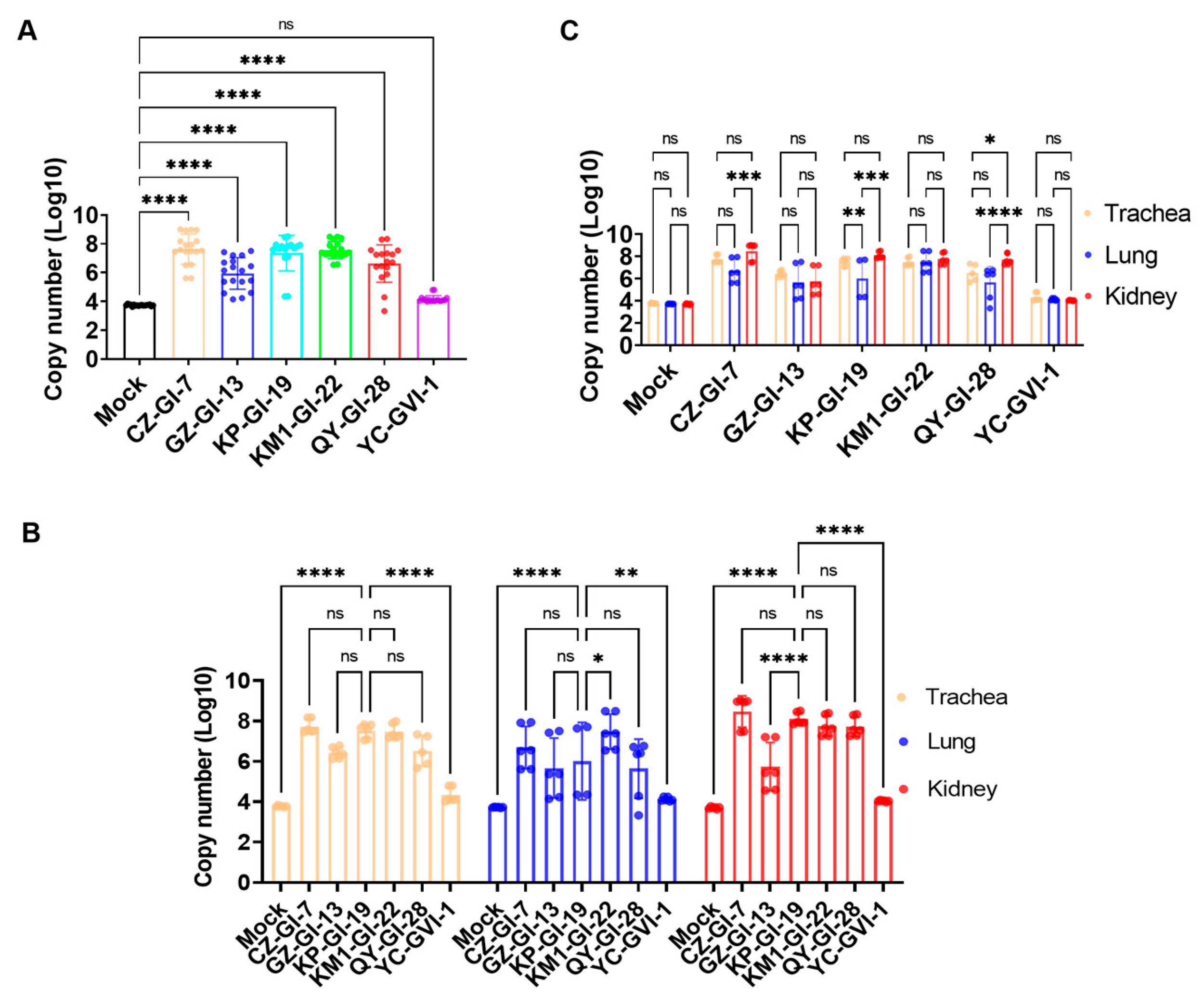 Viruses 16 00930 g007
