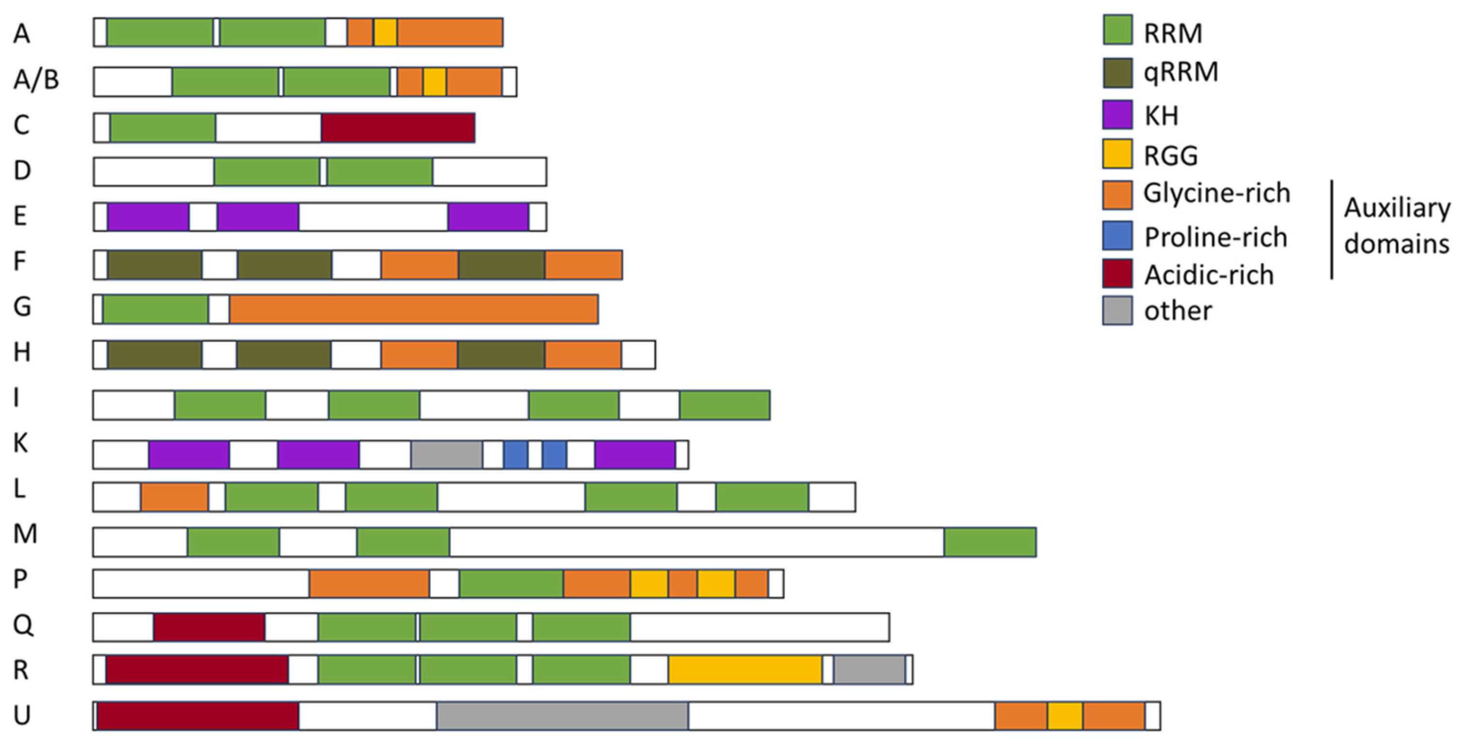 Viruses 16 00938 g004