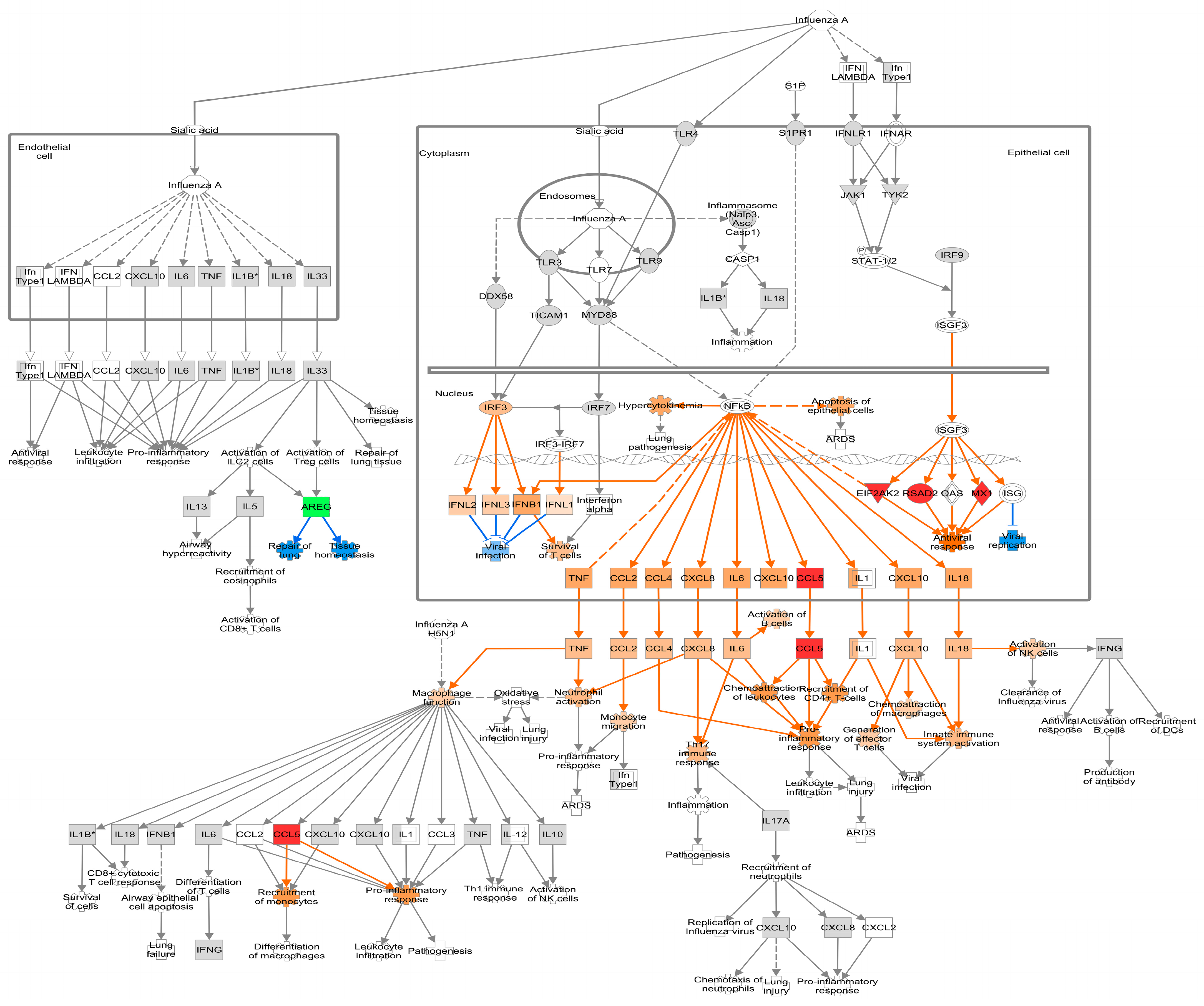 Viruses 16 00939 g004