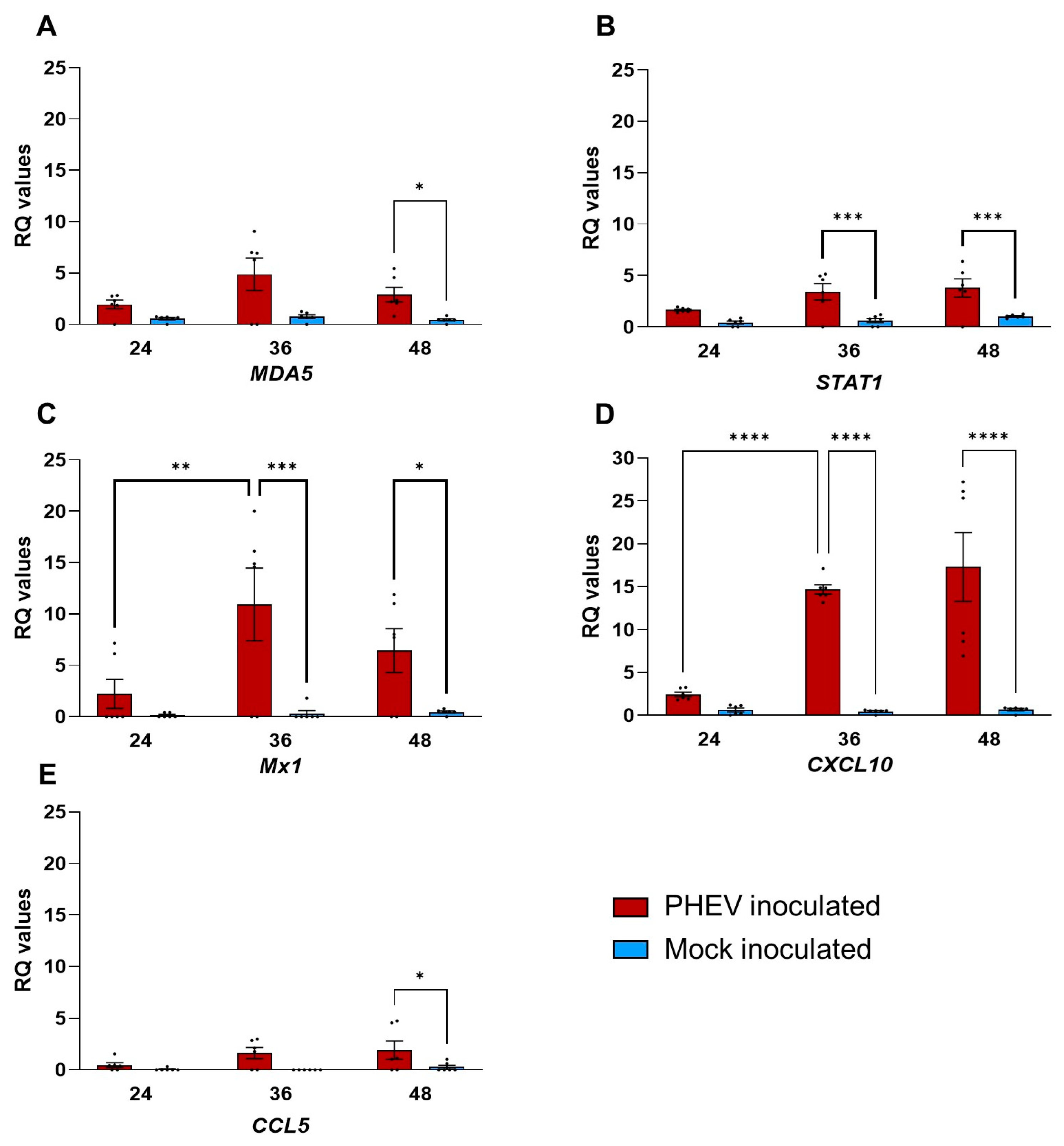 Viruses 16 00939 g007