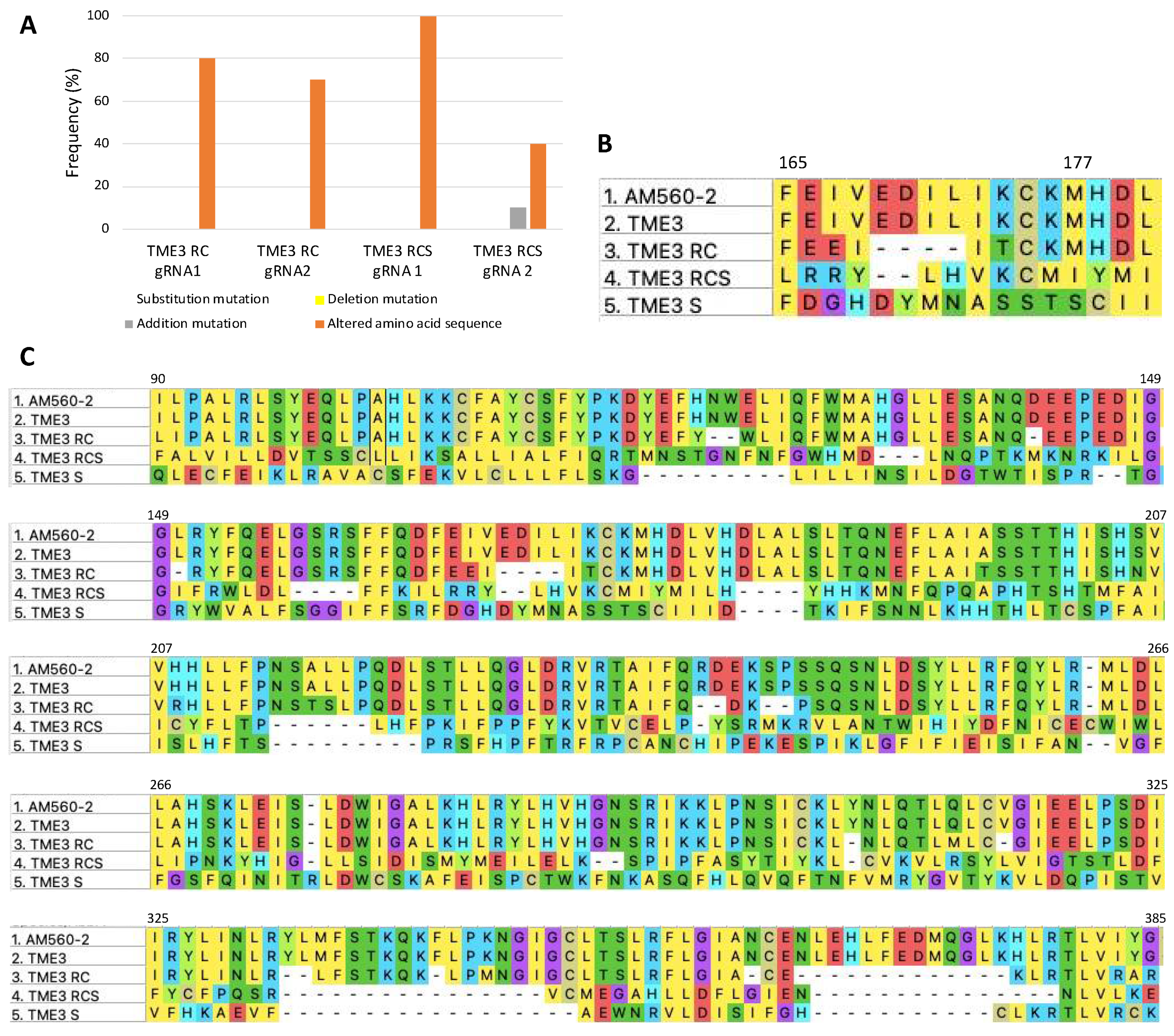 Viruses 16 00941 g004