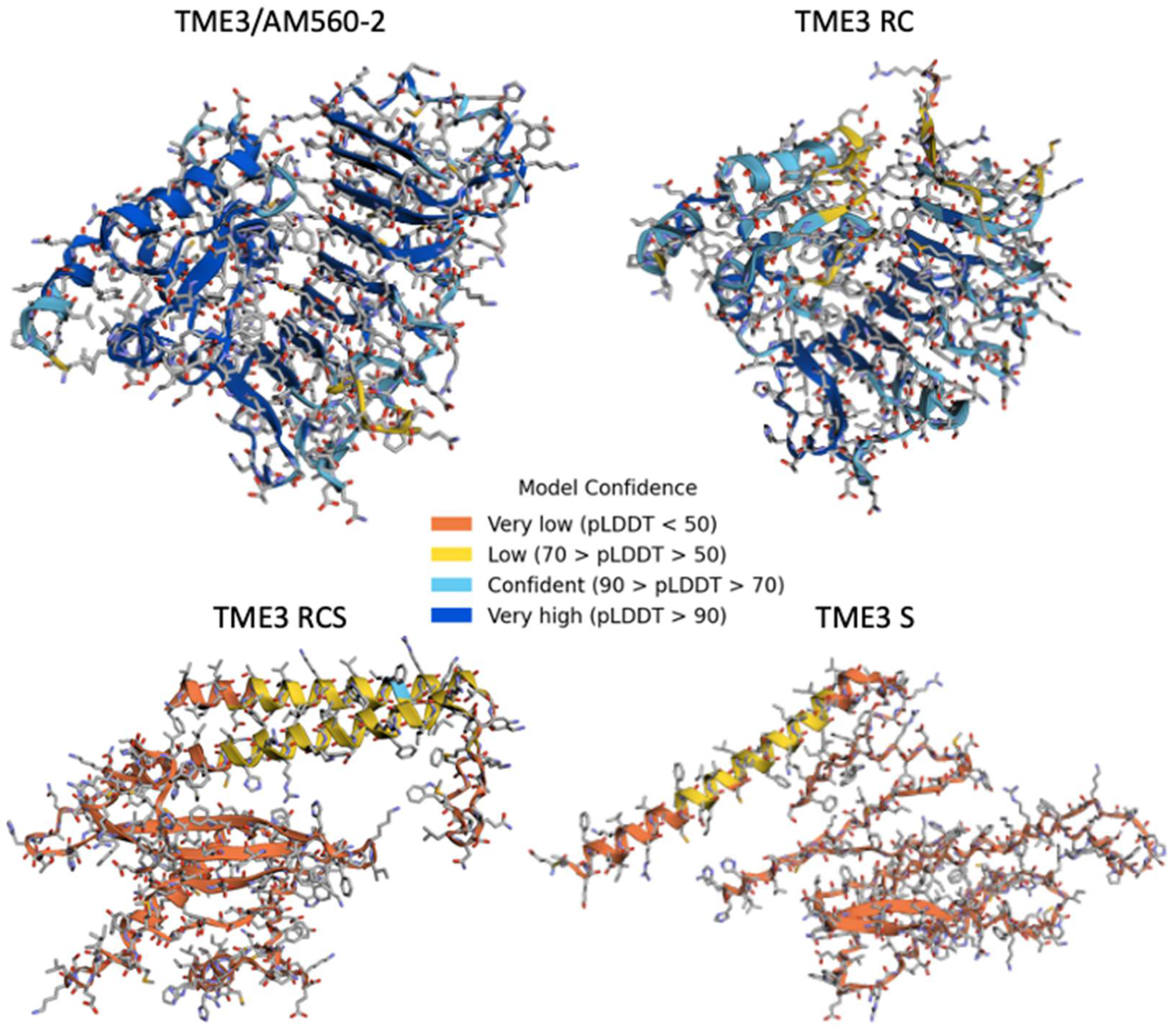 Viruses 16 00941 g005