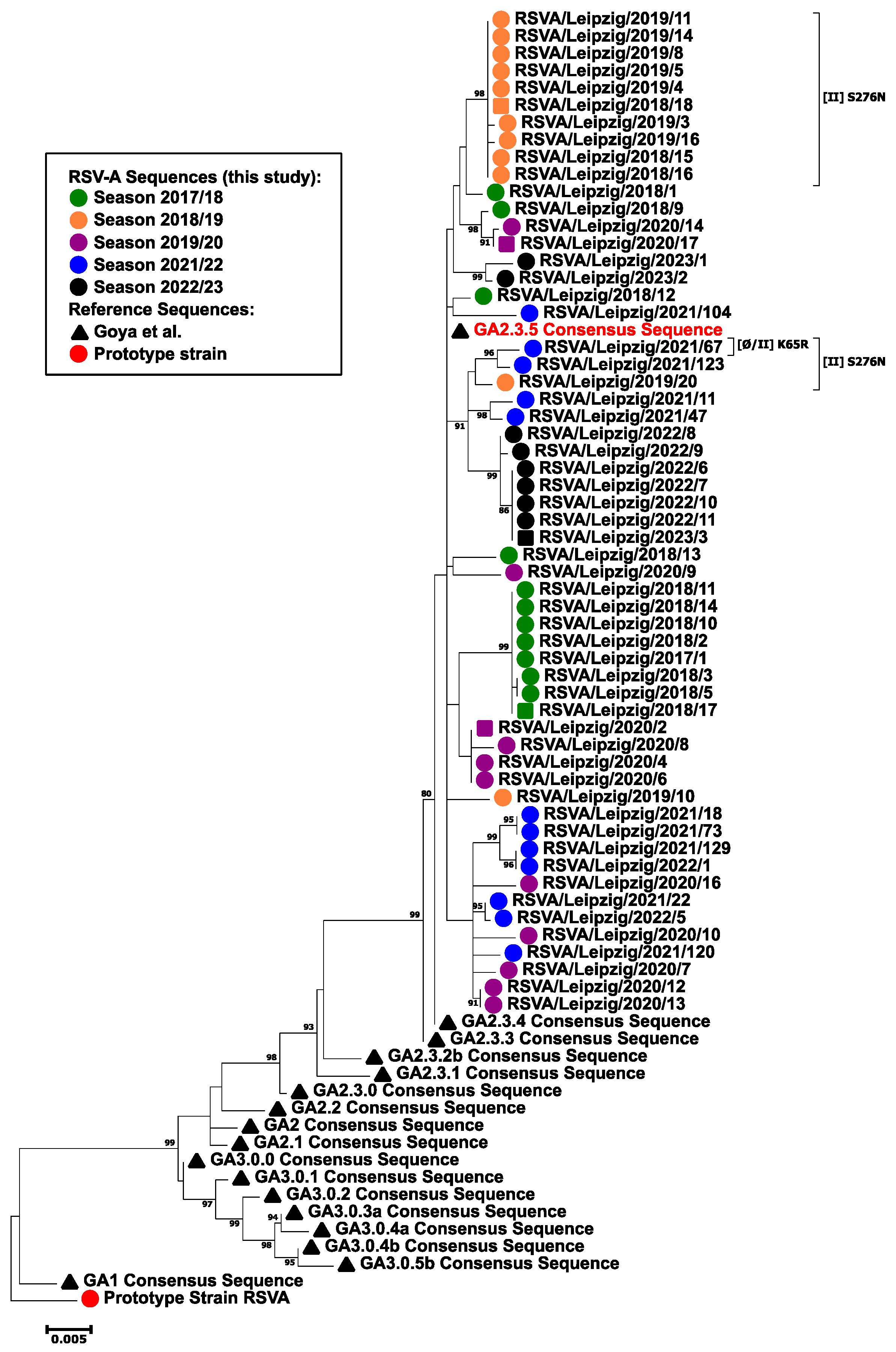 Viruses 16 00943 g004