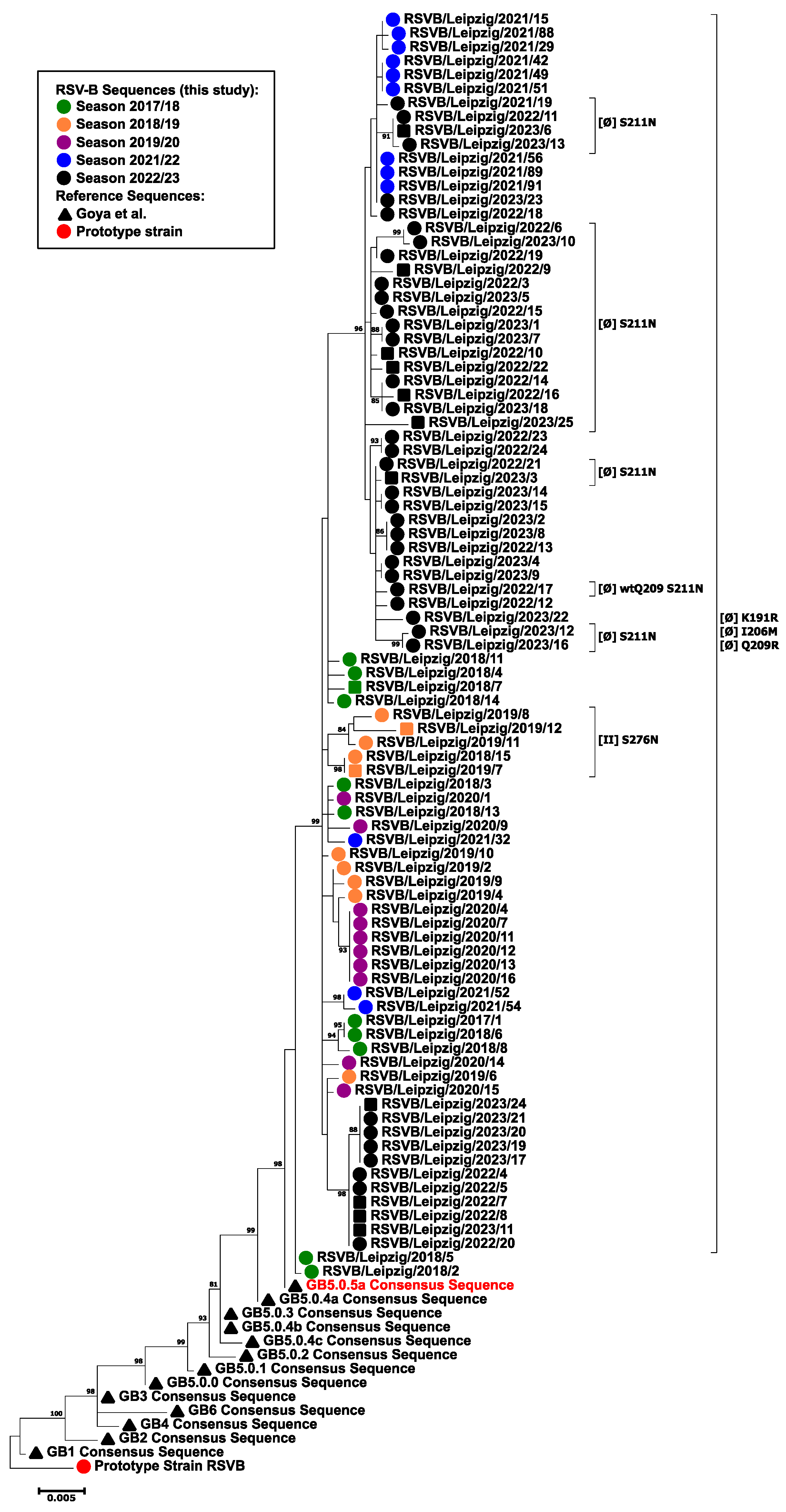 Viruses 16 00943 g005