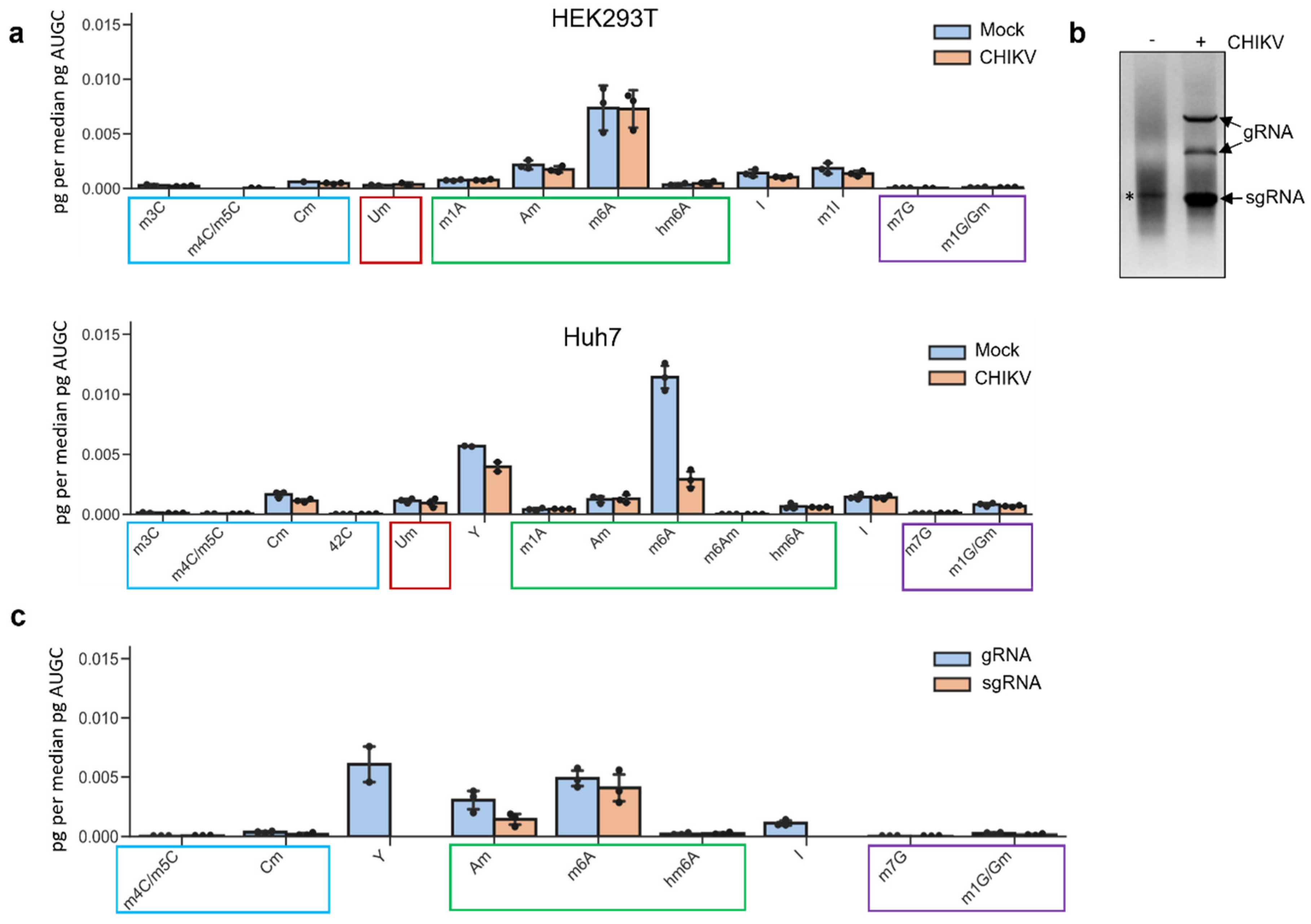 Viruses 16 00945 g001