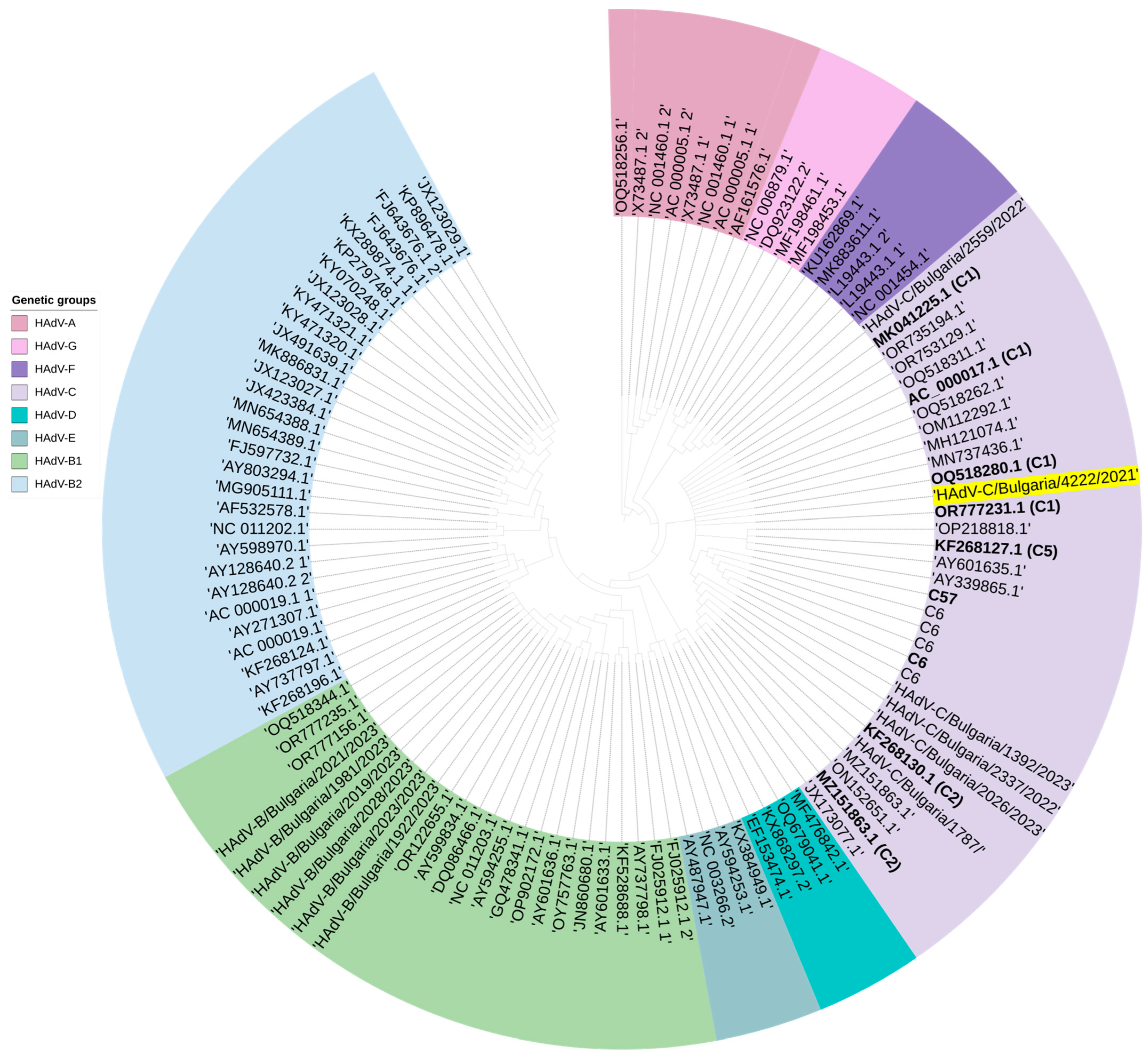 Viruses 16 00958 g005
