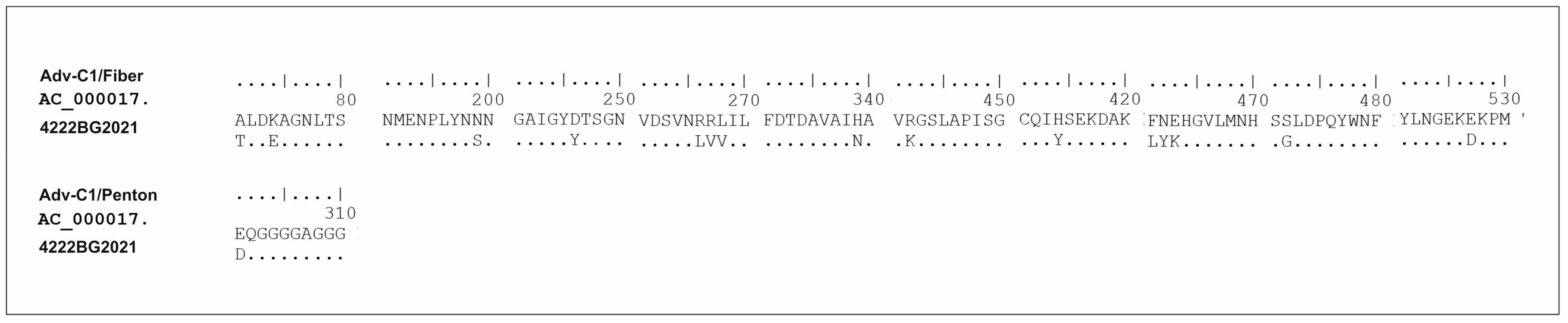 Viruses 16 00958 g006